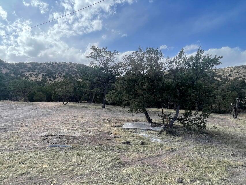 175 Hop Canyon Road, Magdalena, New Mexico image 38