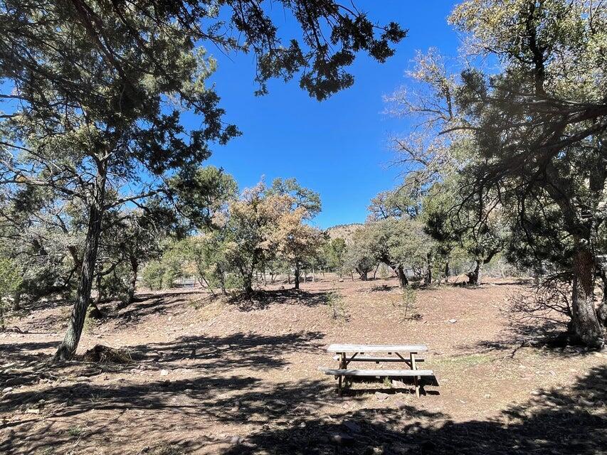 175 Hop Canyon Road, Magdalena, New Mexico image 43