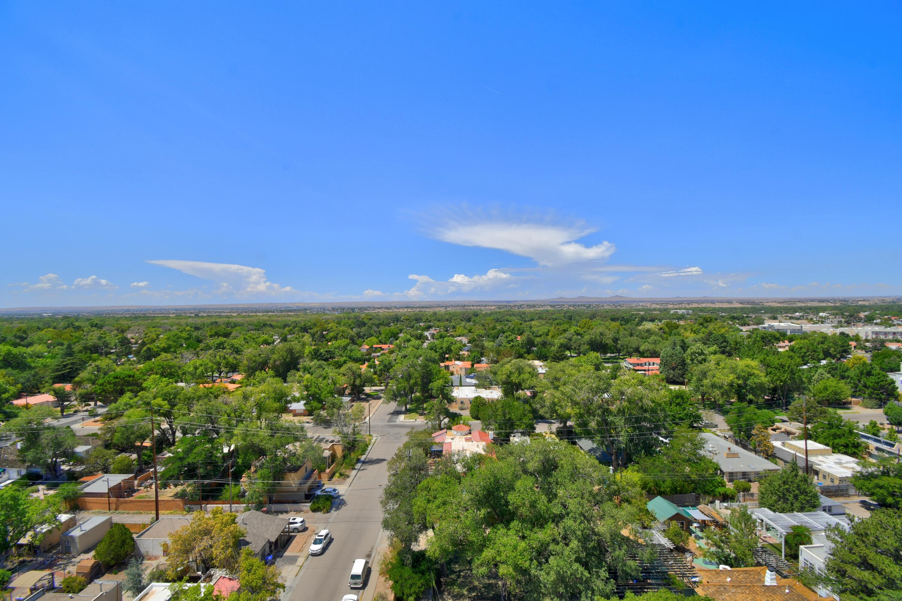1331 Park Avenue SW 1203