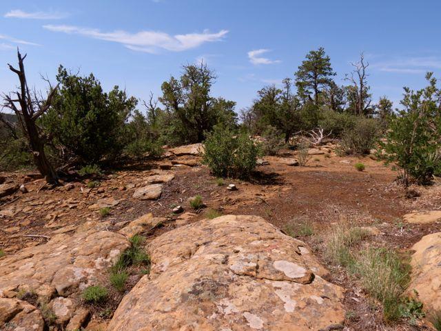 403 Candy Kitchen Road, Ramah, New Mexico image 19