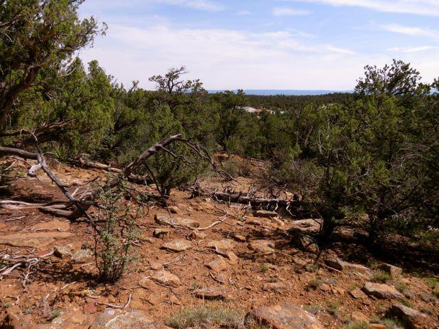 403 Candy Kitchen Road, Ramah, New Mexico image 23