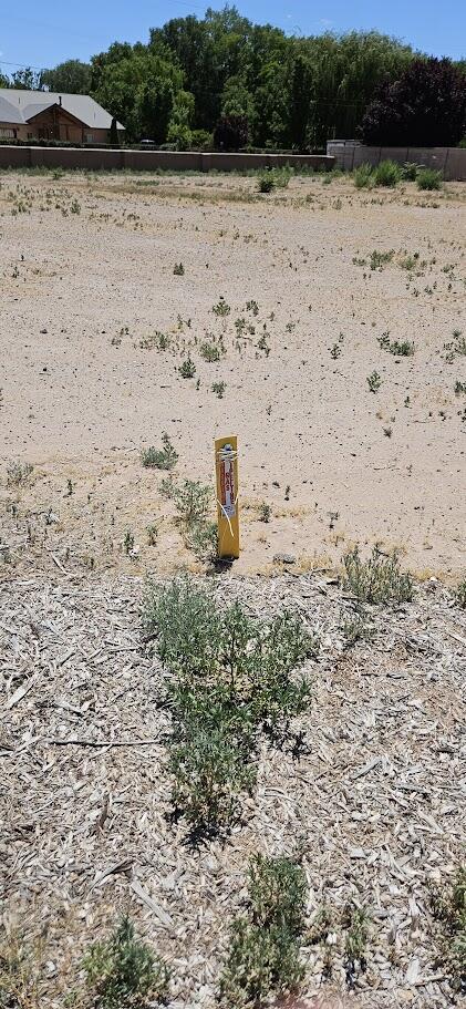 Zia View Court, Los Ranchos, New Mexico image 10