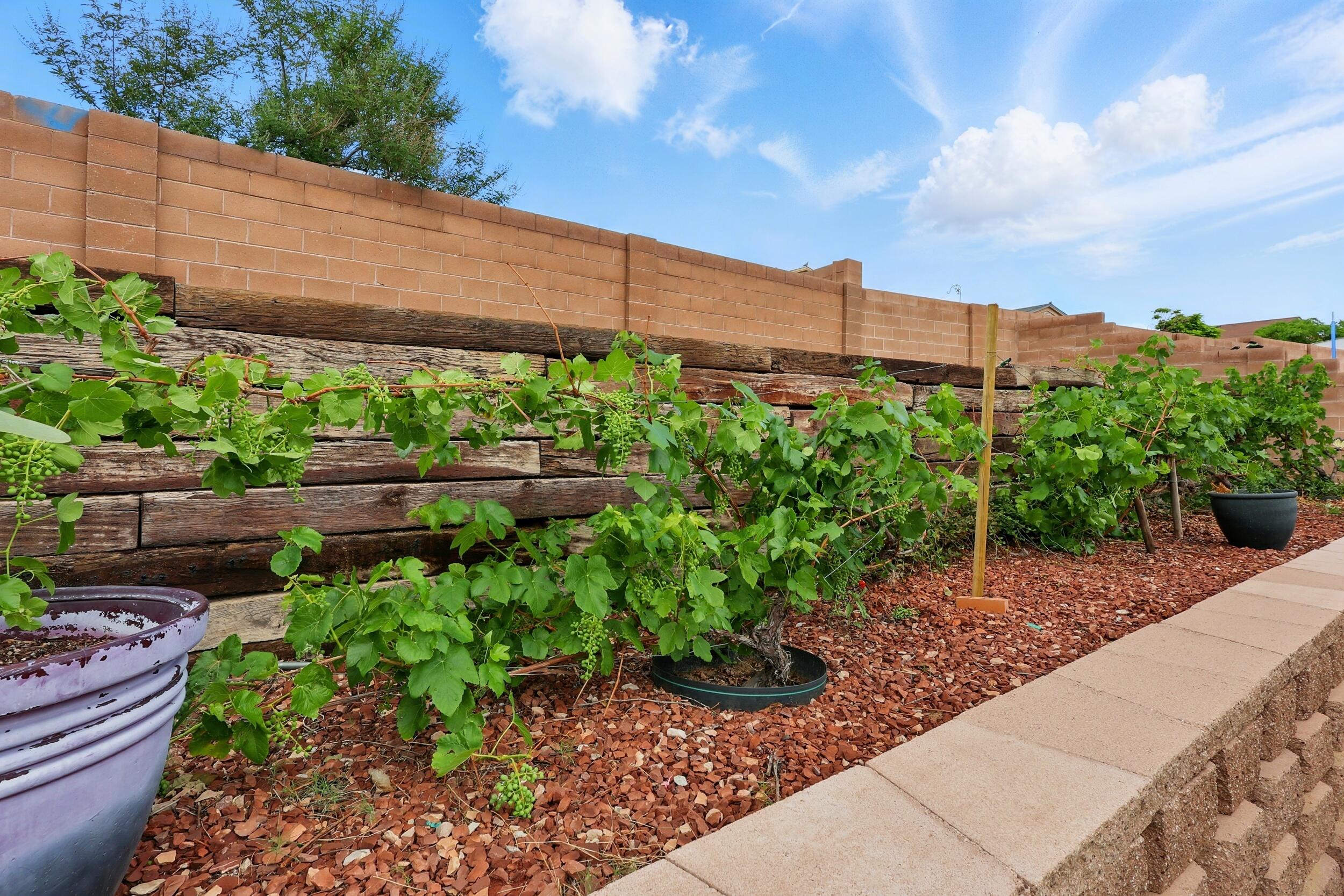 615 Cyan Court, Albuquerque, New Mexico image 28