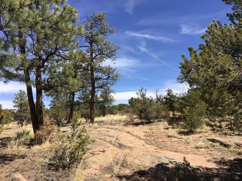 Vacant Land For Sale - LOT 636 Edgewood Drive<br/> Ramah, NM 87321
