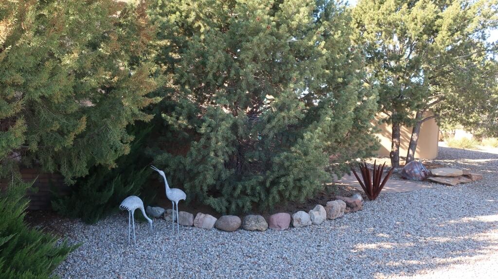 5 Basketweaver Court, Placitas, New Mexico image 48