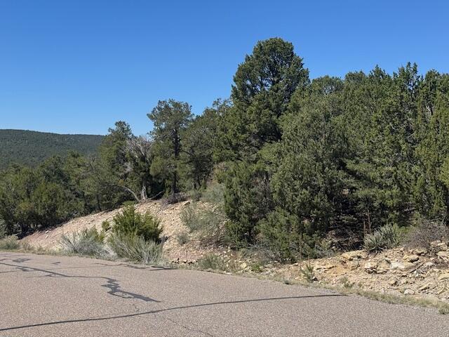 26 & 30 Rancho Verde Road, Tijeras, New Mexico image 6