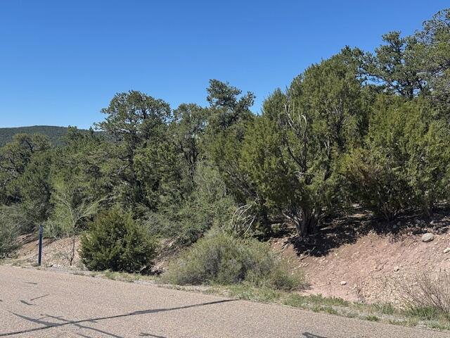 26 & 30 Rancho Verde Road, Tijeras, New Mexico image 4