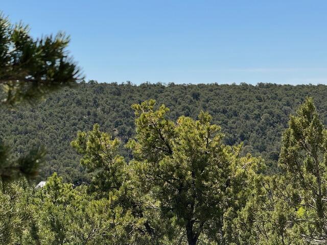 26 & 30 Rancho Verde Road, Tijeras, New Mexico image 2