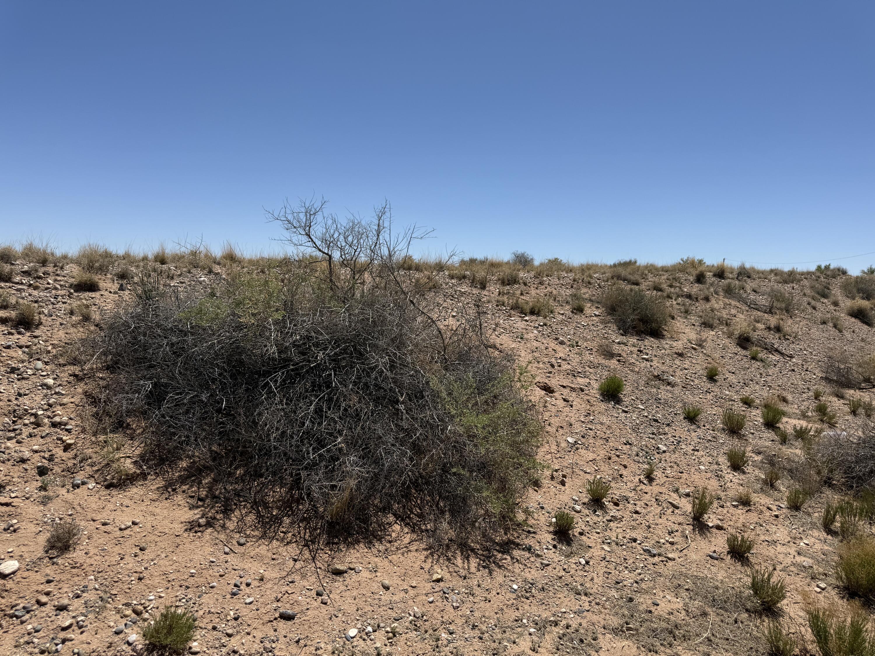 Lot 78 Mora Drive, Veguita, New Mexico image 13