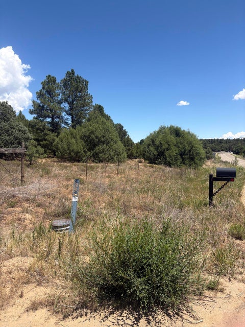 Vacant Land For Sale - 2 Falcon Lane<br/> Tijeras, NM 87059