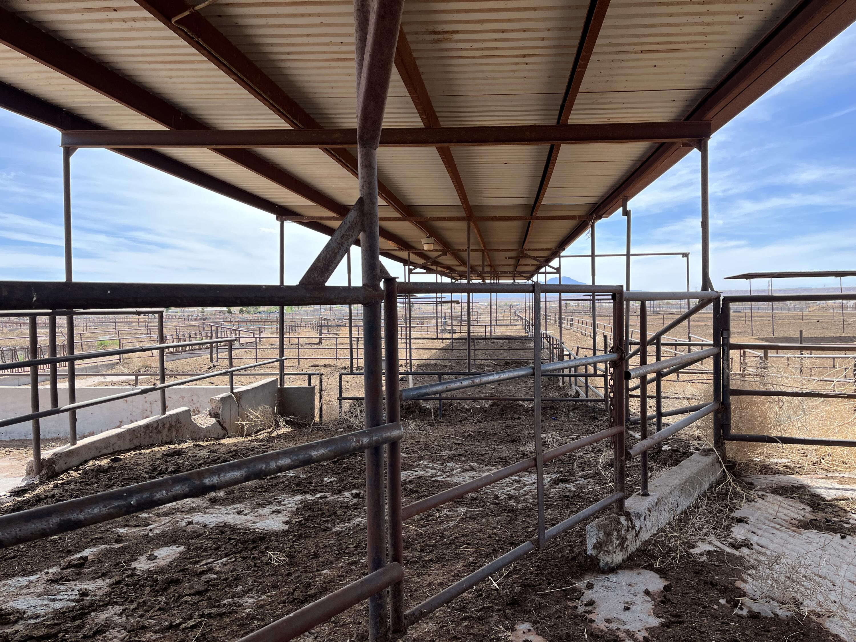 40 Miller Dairy Rd, Veguita, New Mexico image 18