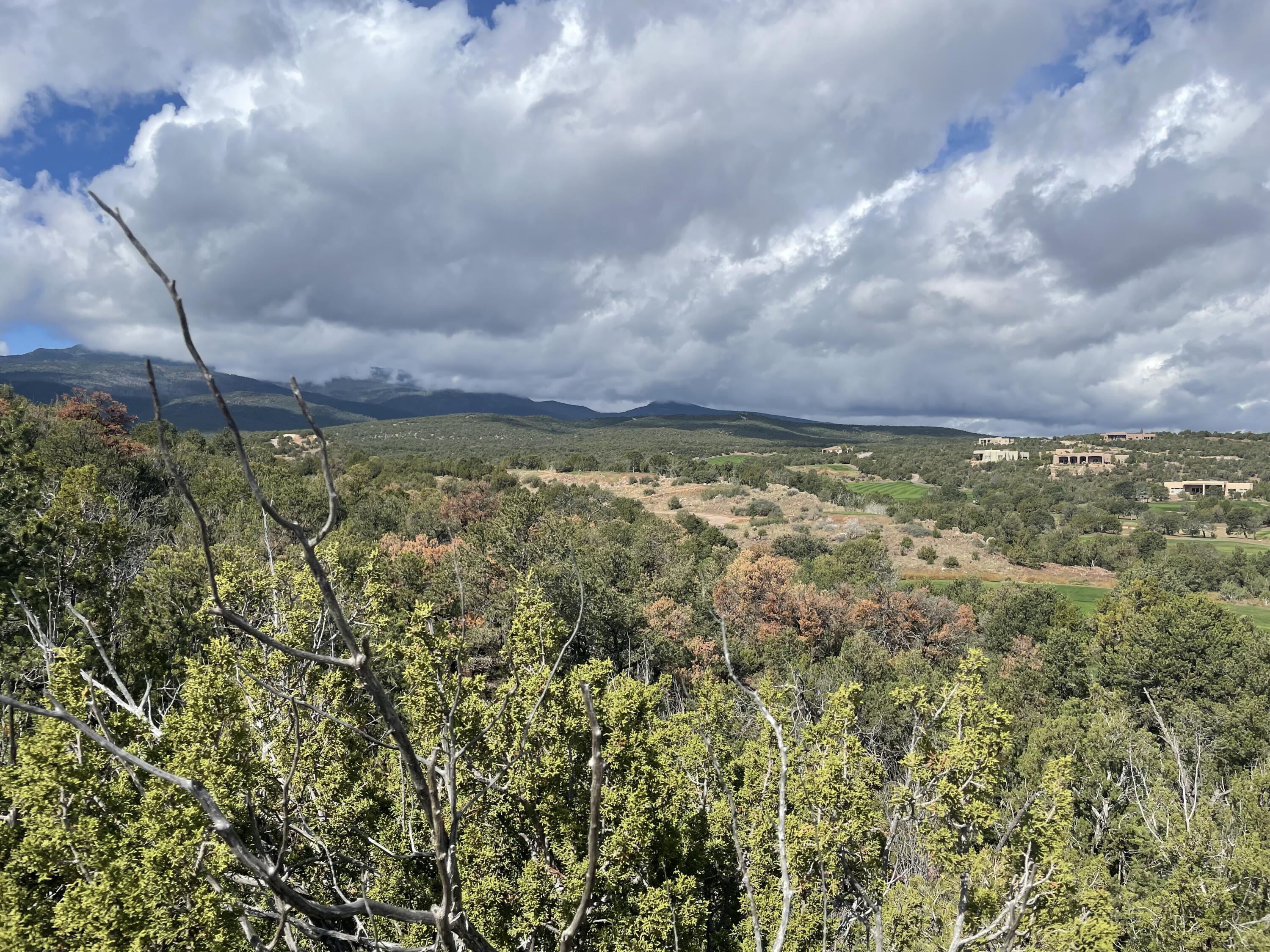 42 Storyteller Court, Sandia Park, New Mexico image 5