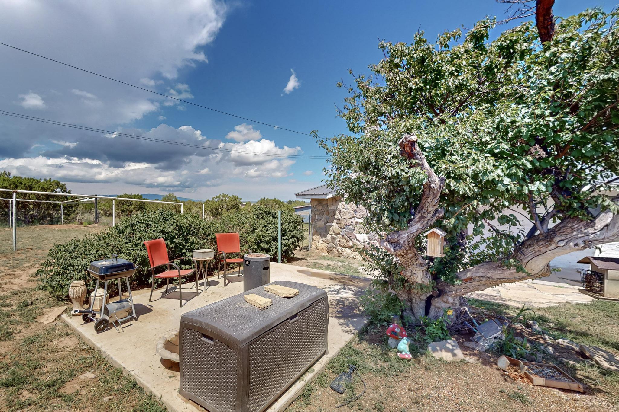 19 Pinon Road, Edgewood, New Mexico image 50