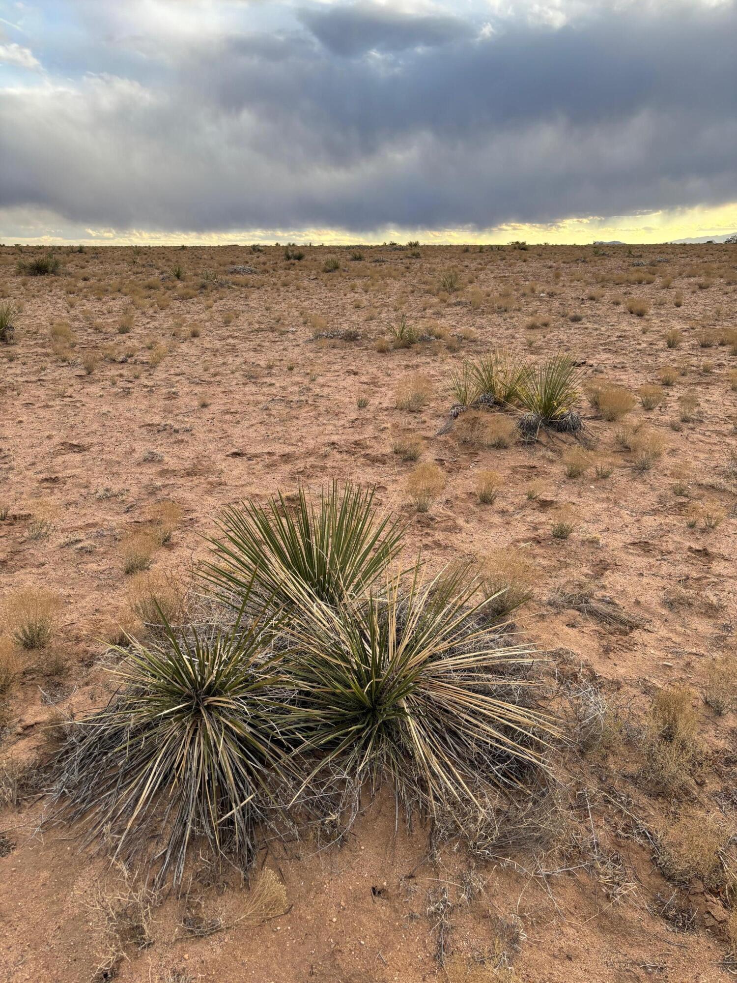 Gardenia St Lot: 1 Block: 513, Veguita, New Mexico image 3