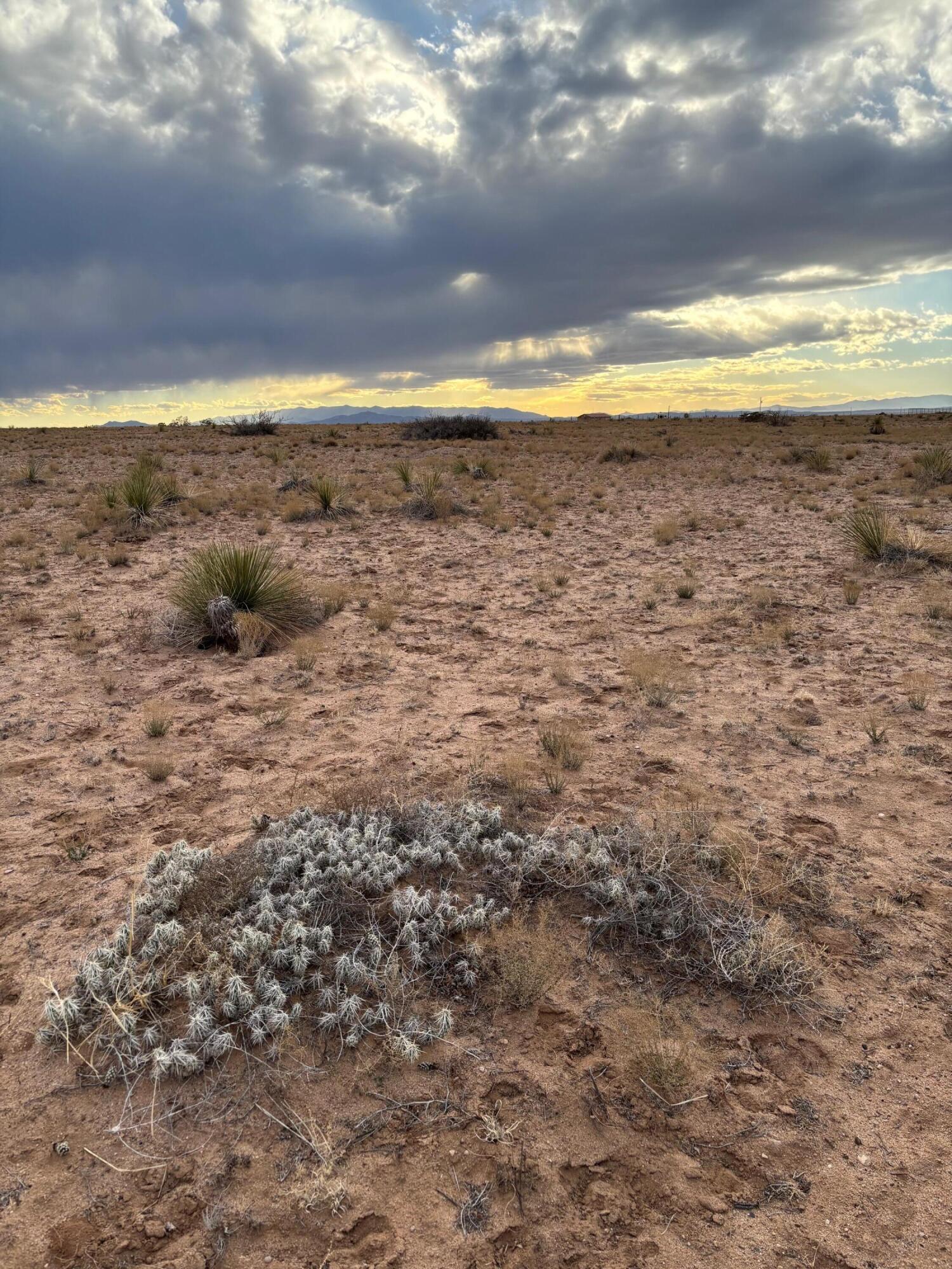 Gardenia St Lot: 1 Block: 513, Veguita, New Mexico image 4