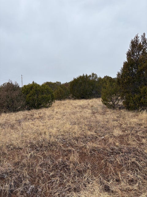 Vacant Land For Sale - 90 Jesse James Road<br/> Edgewood, NM 87015
