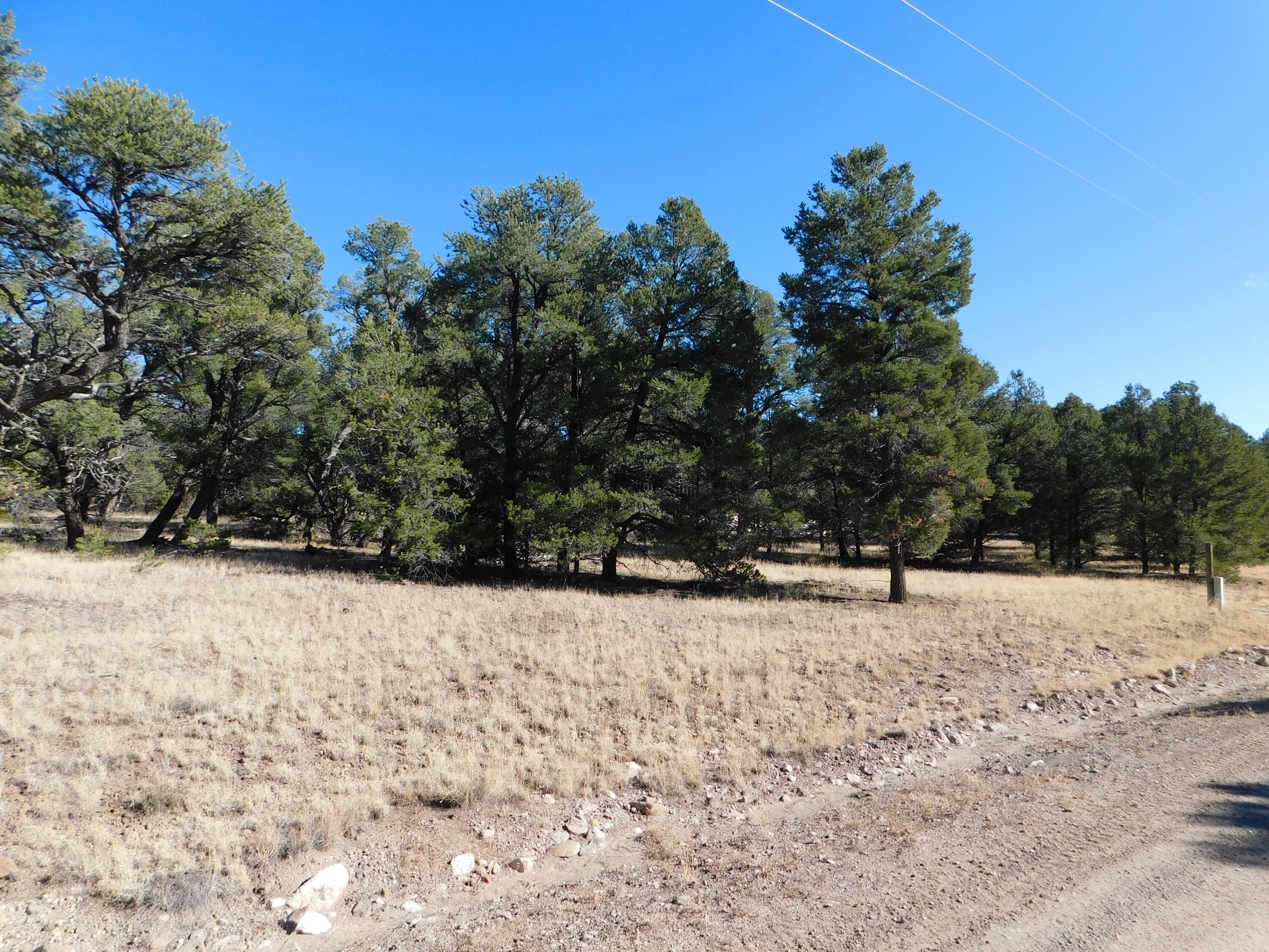 V-10 Paradise Loop, Quemado, New Mexico image 2