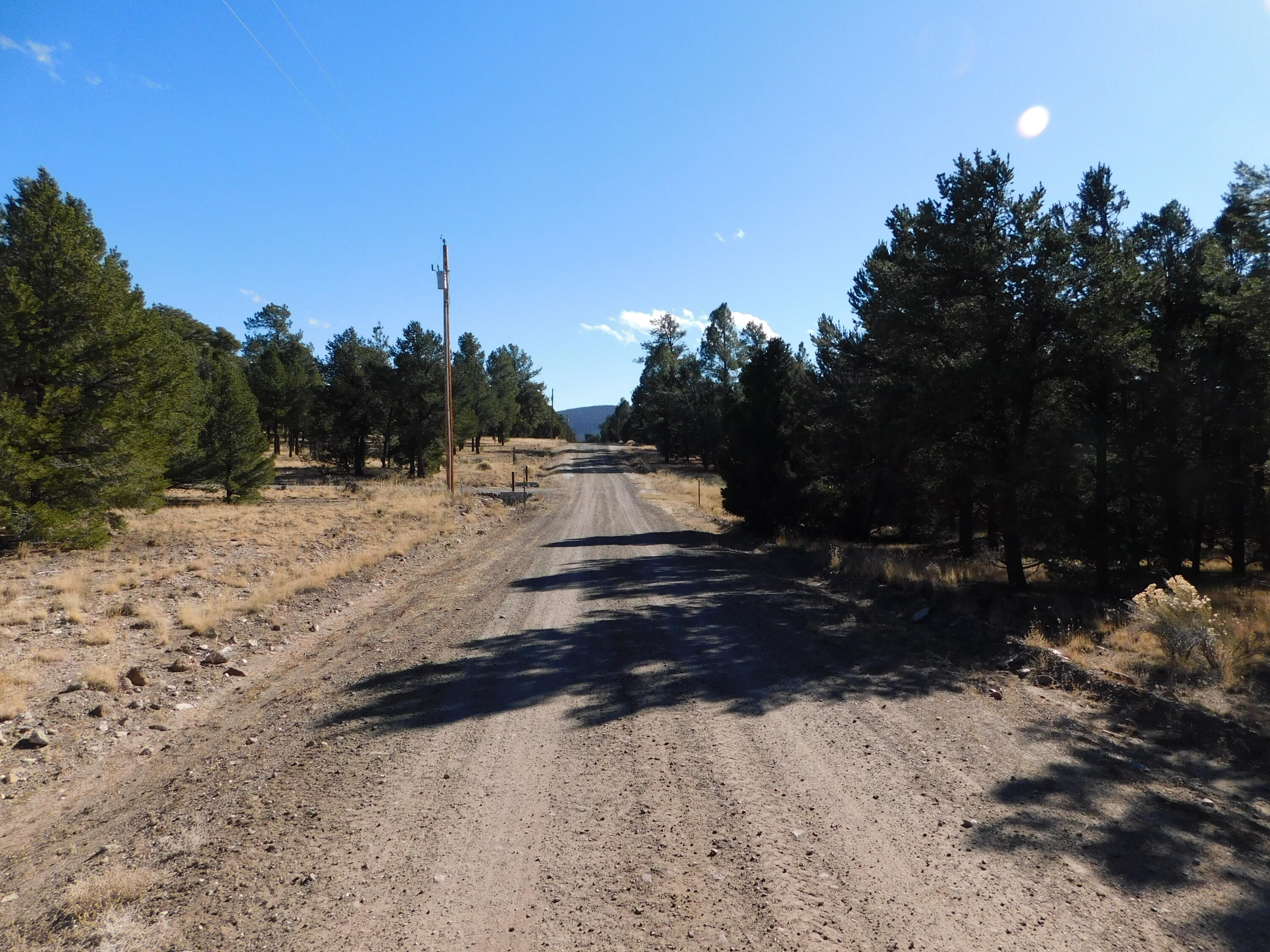 V-10 Paradise Loop, Quemado, New Mexico image 15