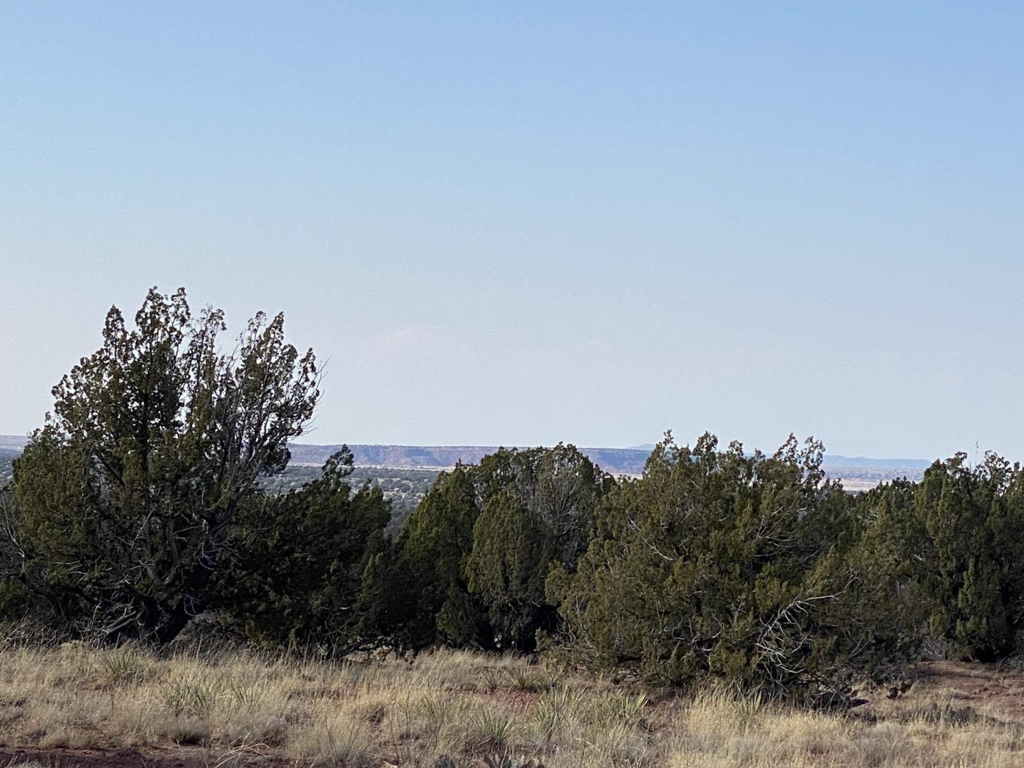 2 Bull Canyon Loop, Newkirk, New Mexico image 6