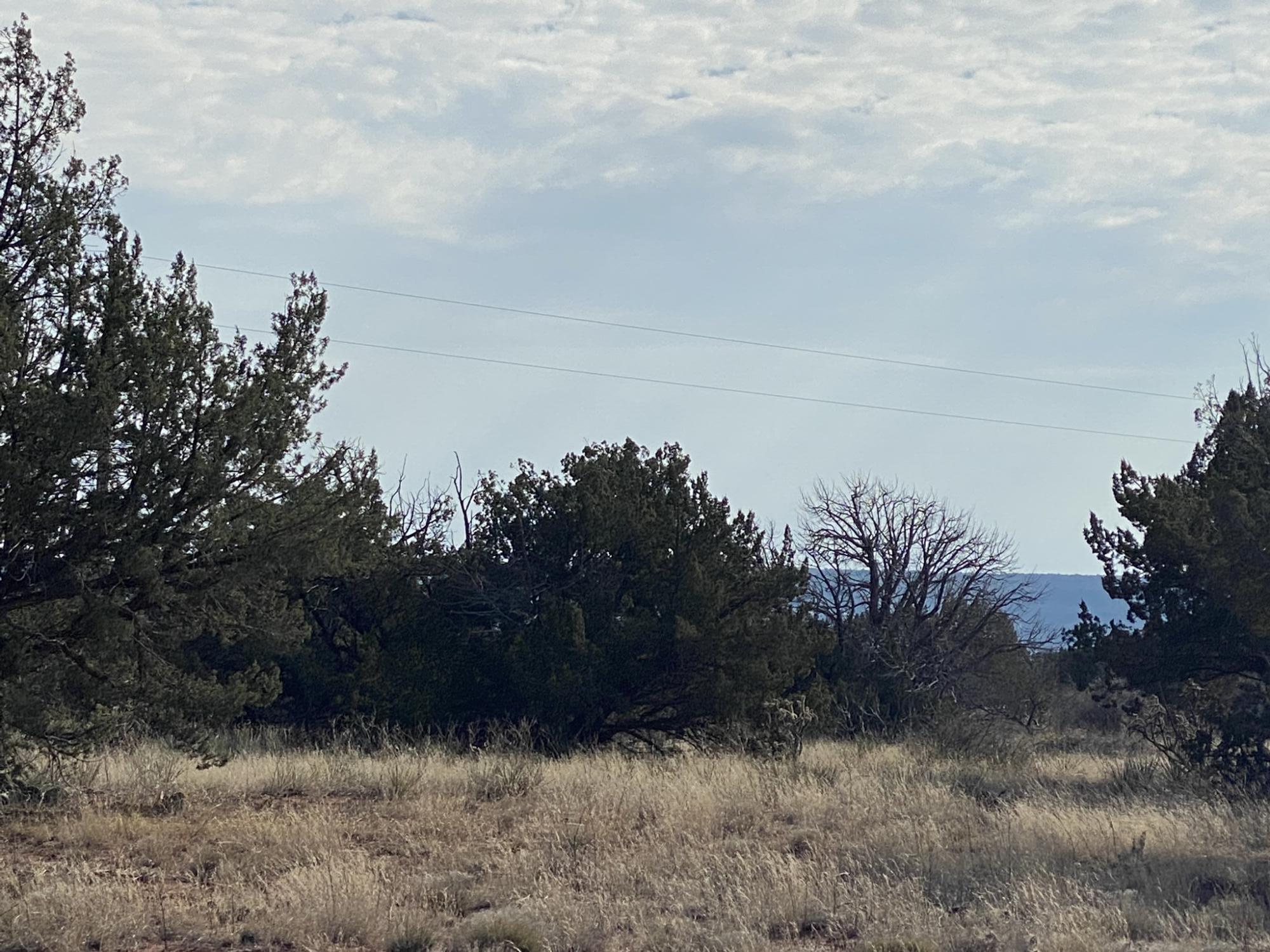 2 Bull Canyon Loop, Newkirk, New Mexico image 8