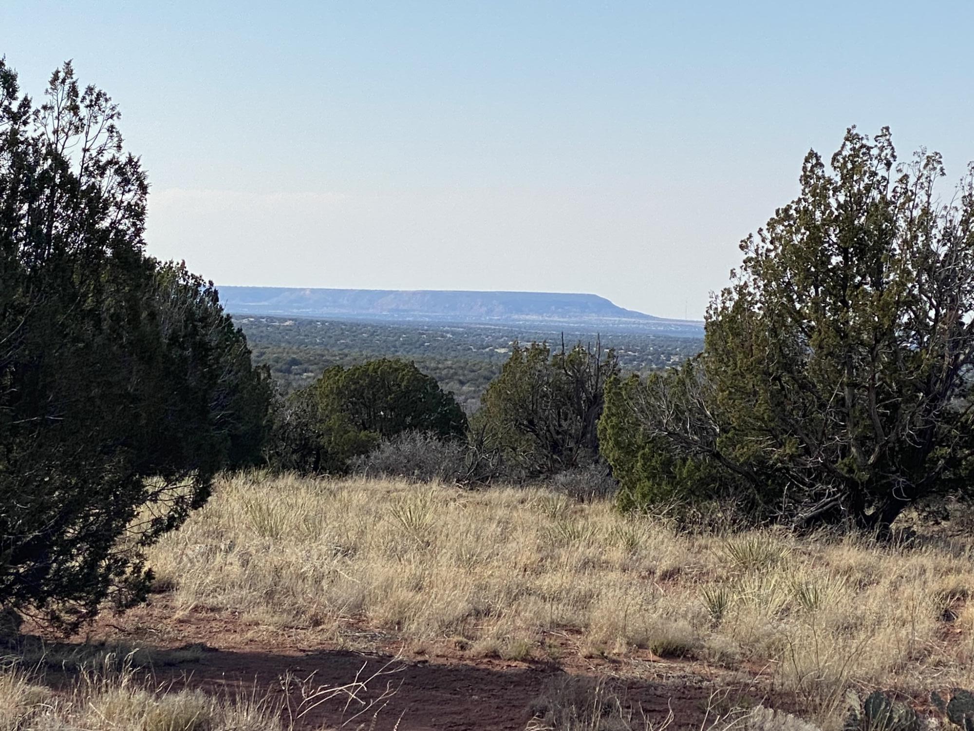 2 Bull Canyon Loop, Newkirk, New Mexico image 4