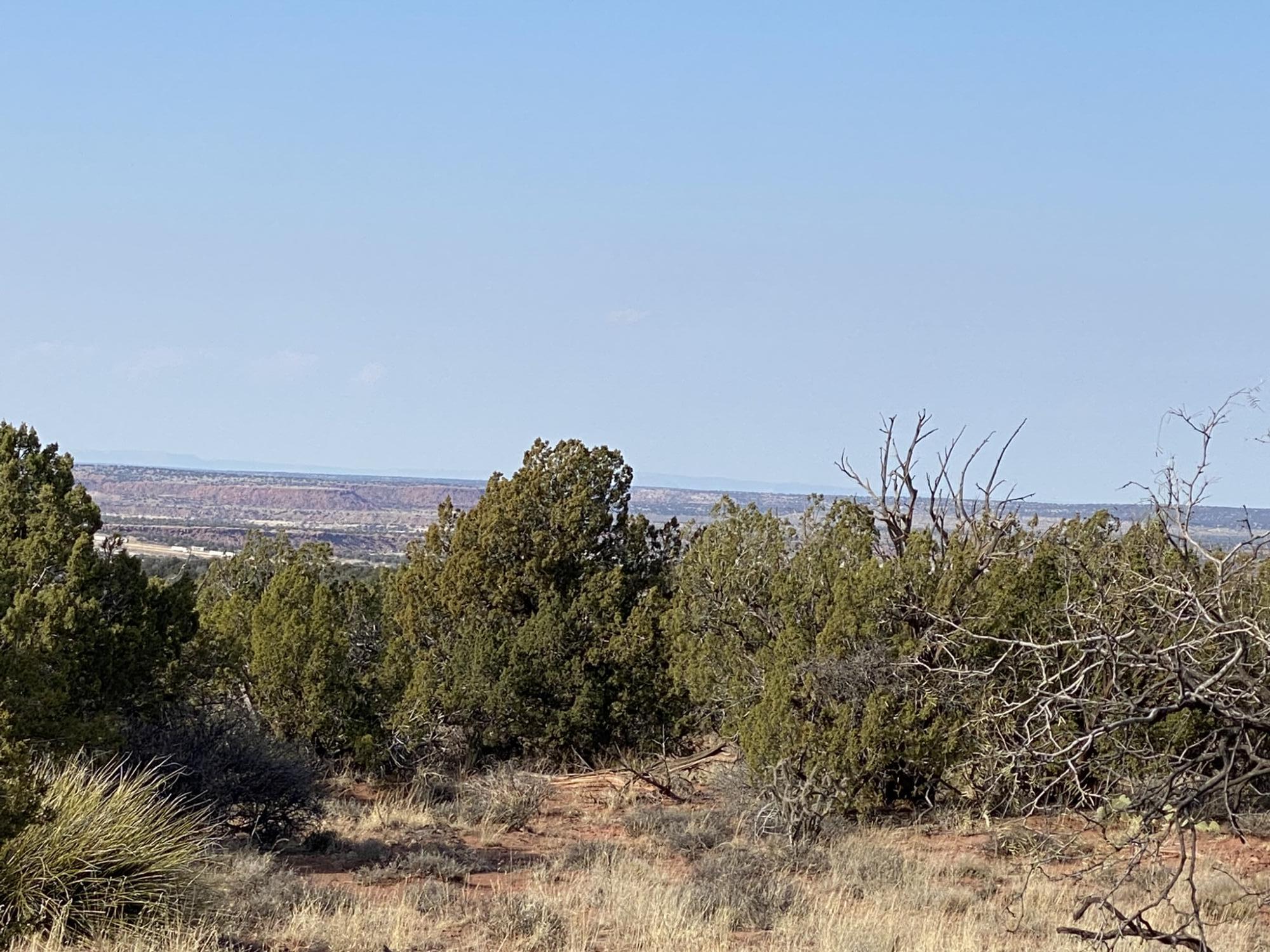 2 Bull Canyon Loop, Newkirk, New Mexico image 10