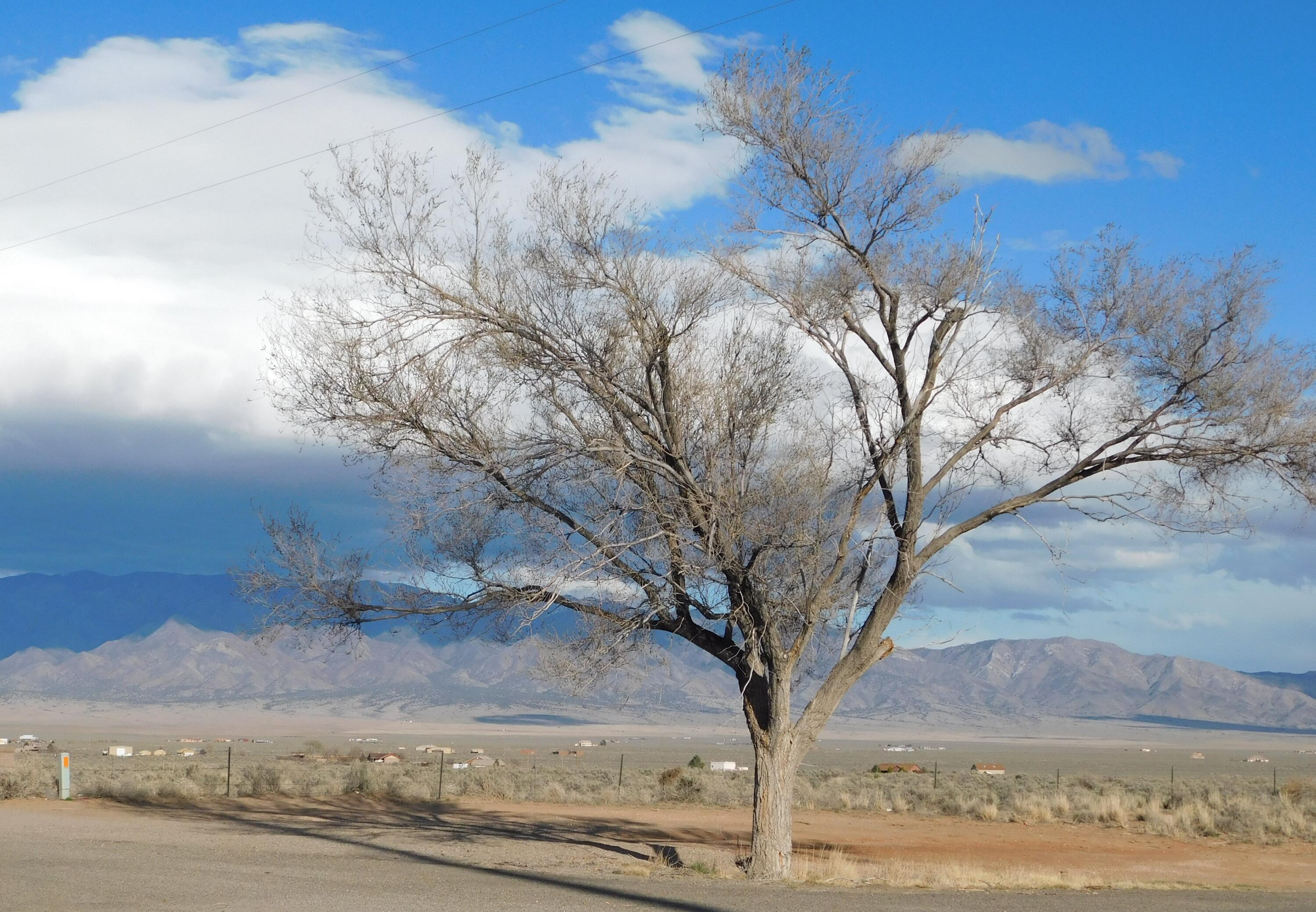 72 Acres Tierra Grande, Belen, New Mexico image 3