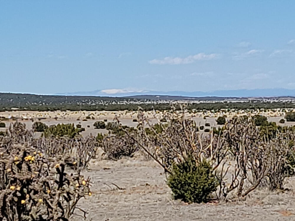 165 Brazos Loop, Estancia, New Mexico image 1