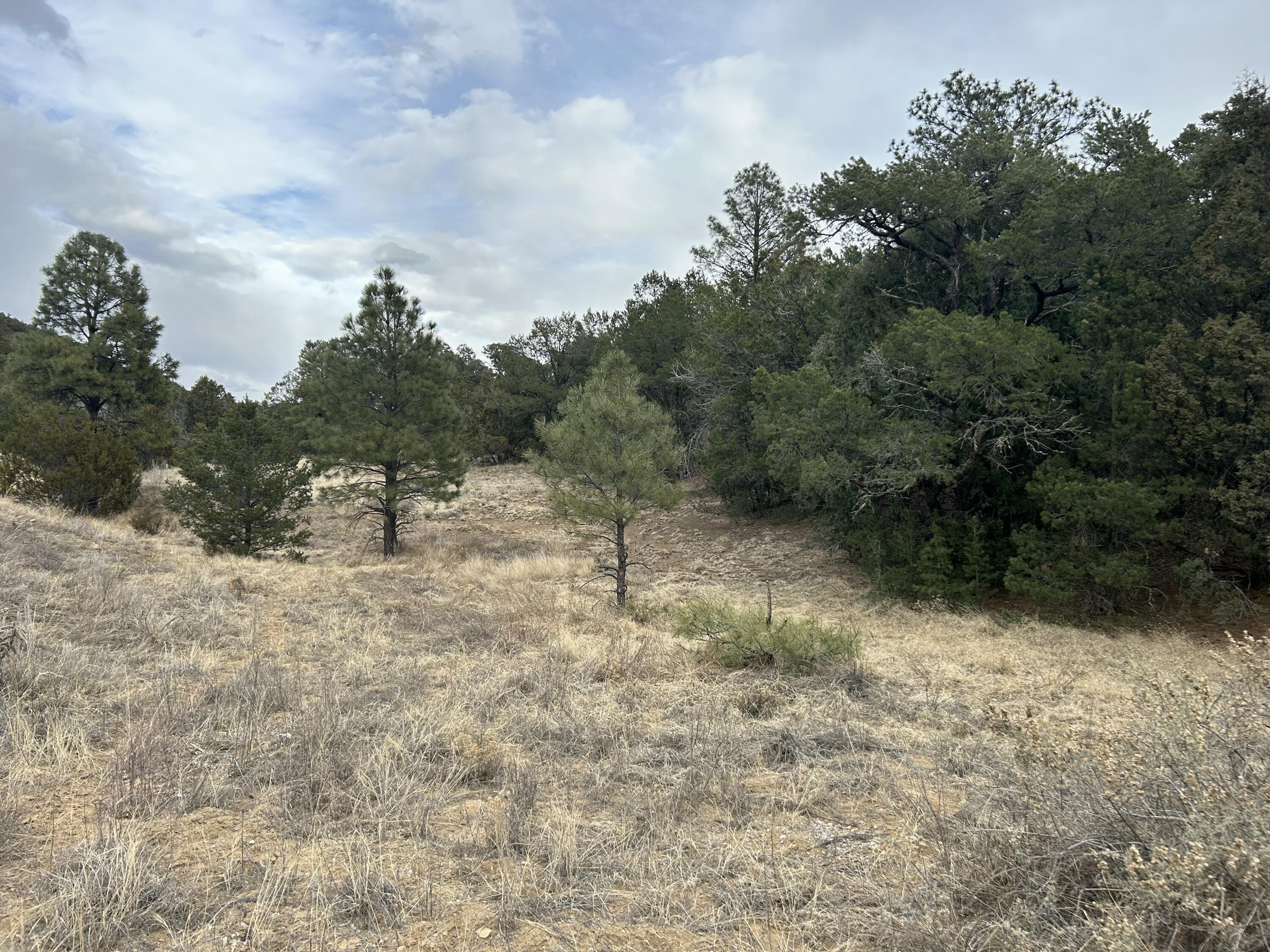 25 Lost Valley Loop, Cedar Crest, New Mexico image 20