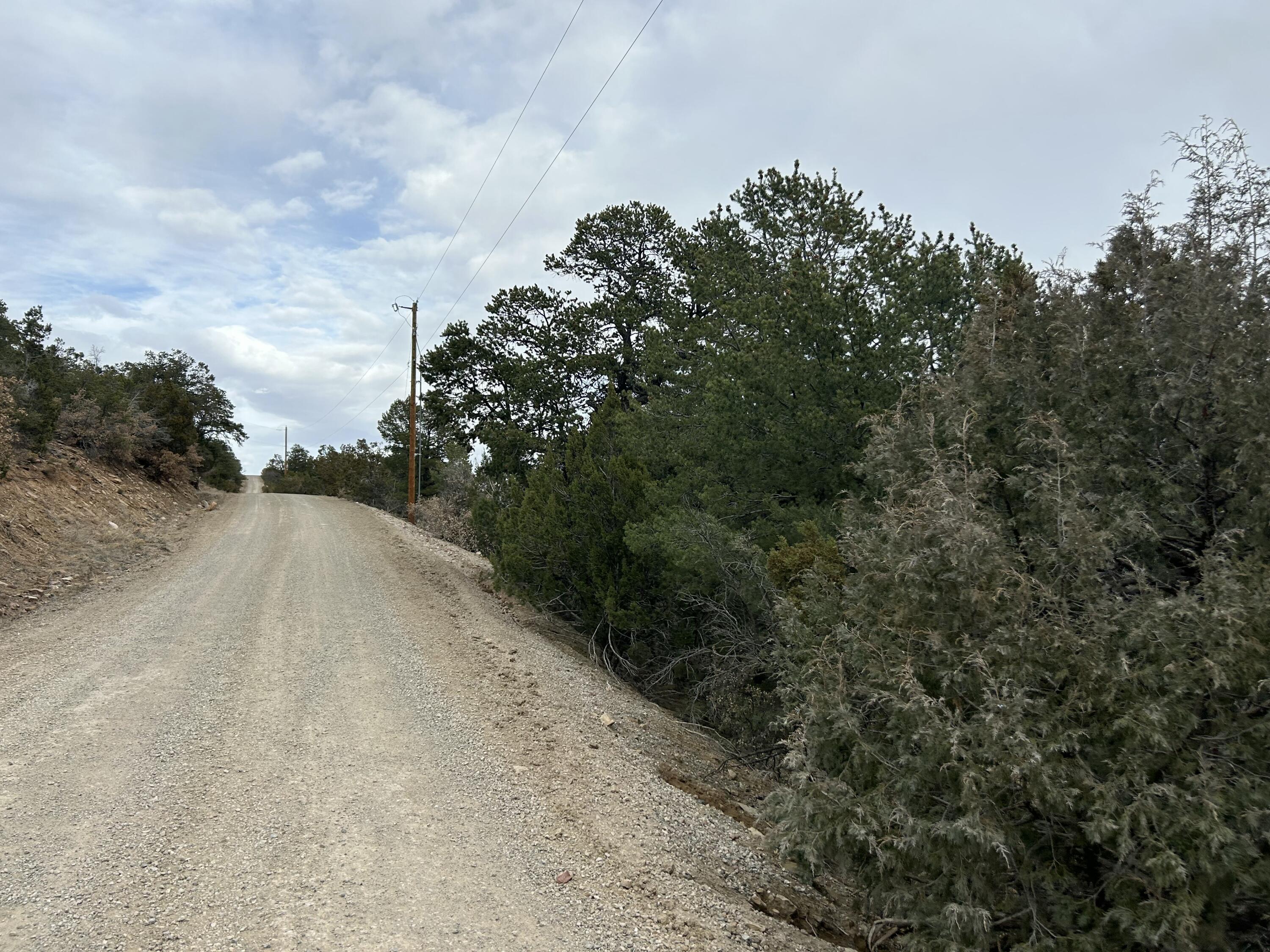 25 Lost Valley Loop, Cedar Crest, New Mexico image 21