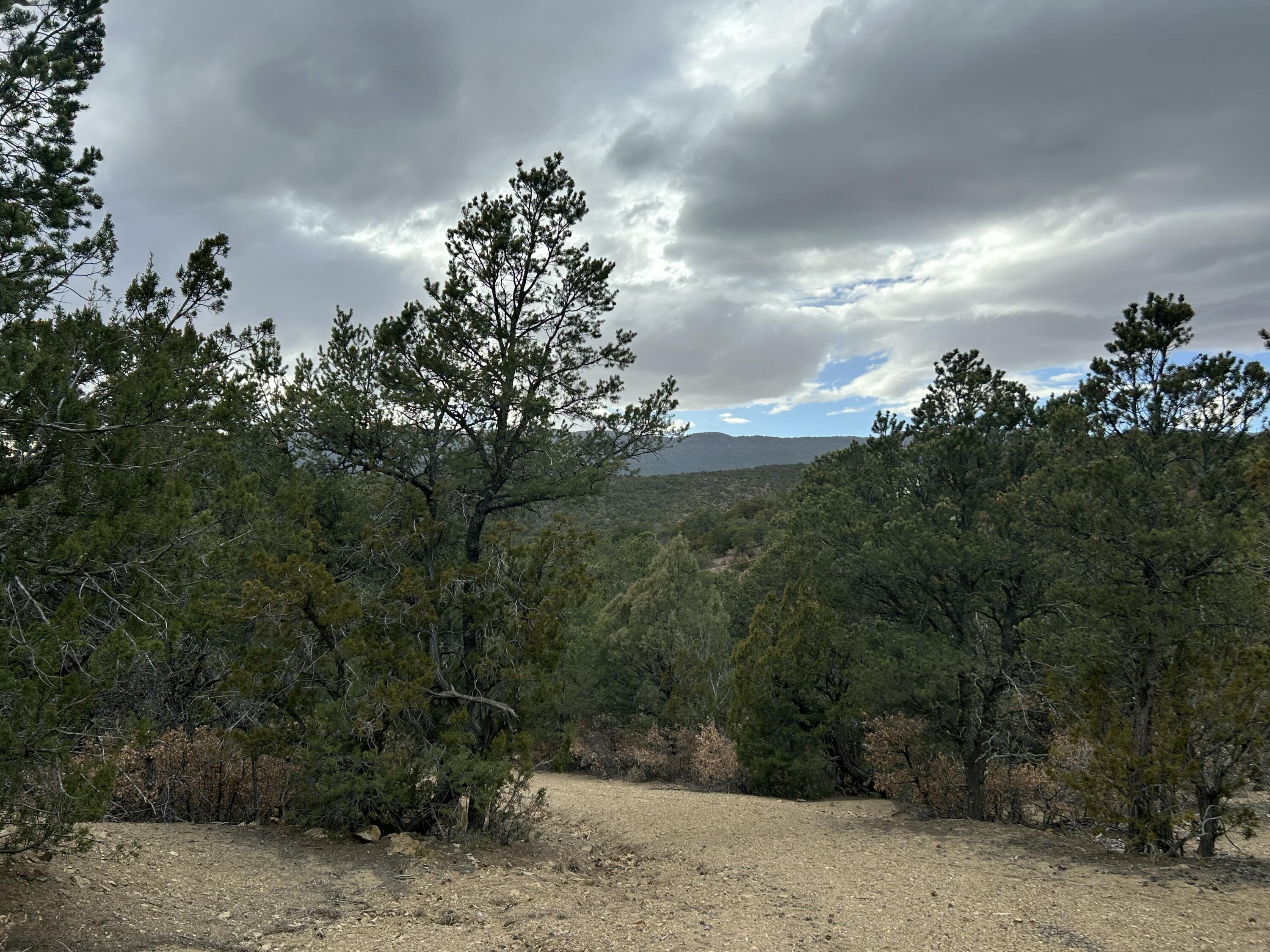 25 Lost Valley Loop, Cedar Crest, New Mexico image 9