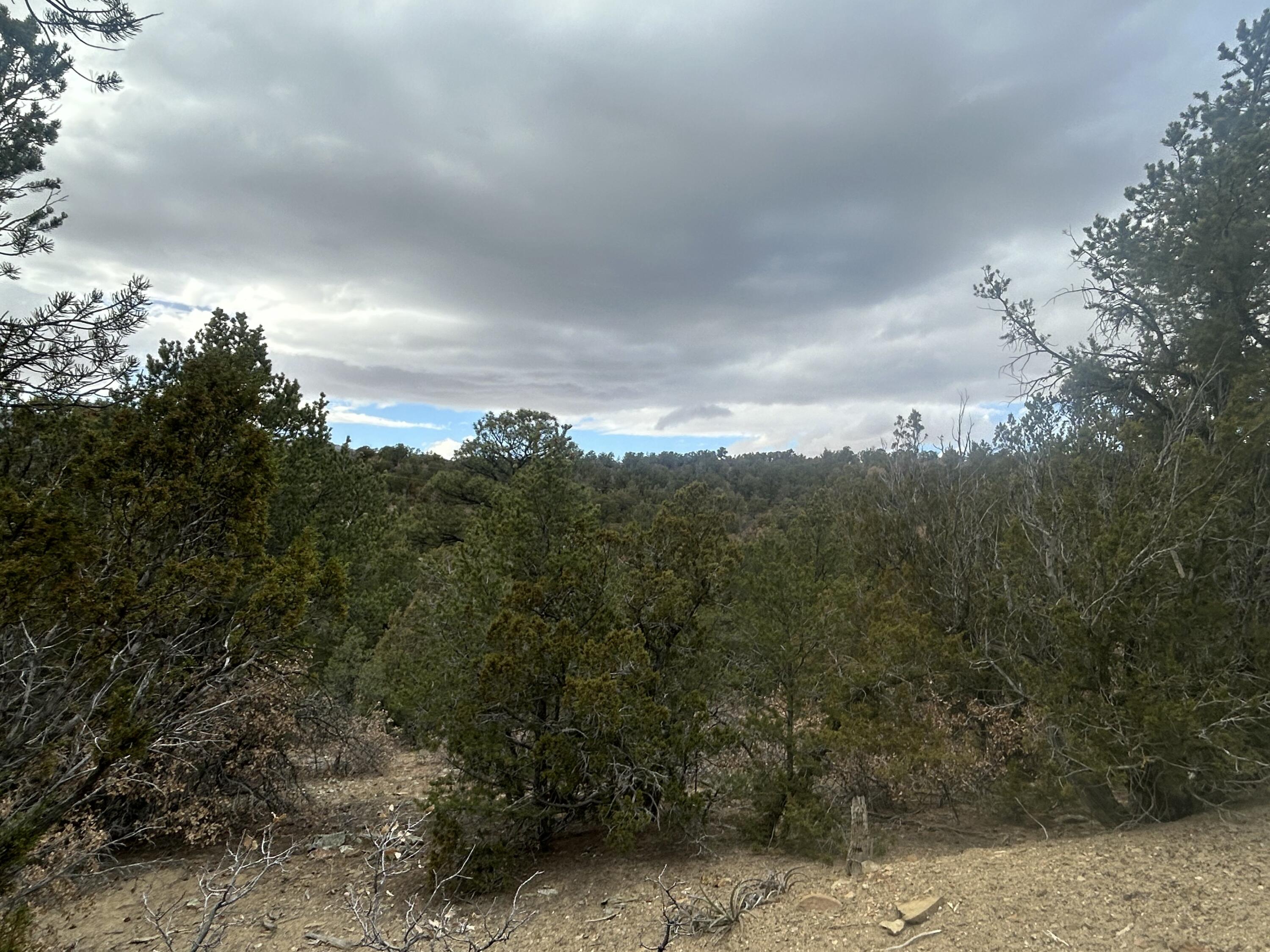 25 Lost Valley Loop, Cedar Crest, New Mexico image 8