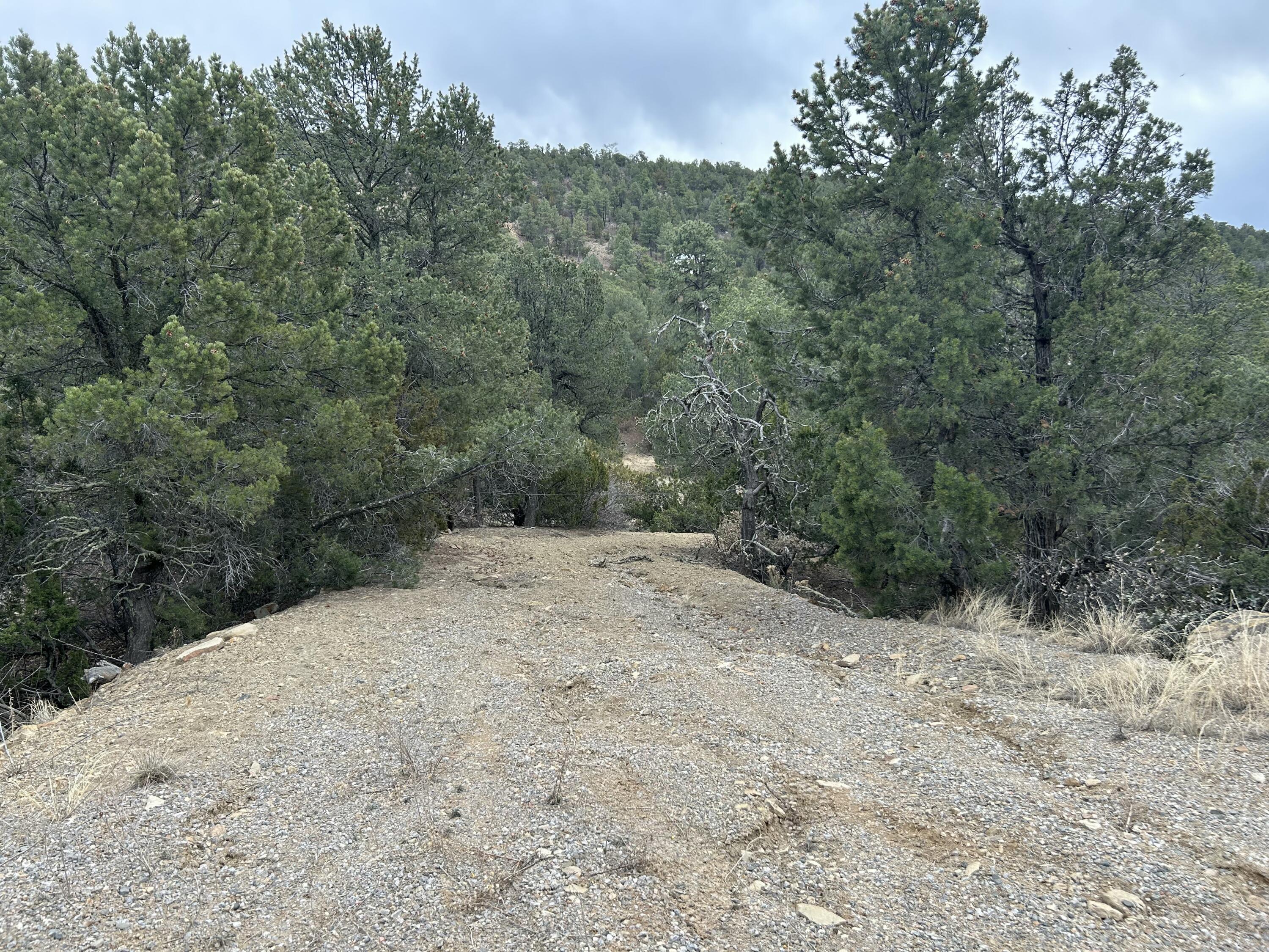 25 Lost Valley Loop, Cedar Crest, New Mexico image 11