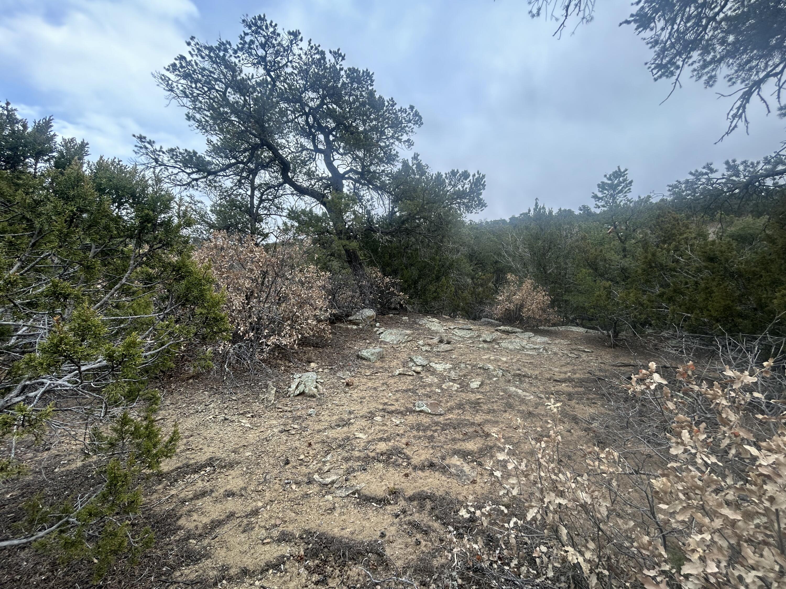 25 Lost Valley Loop, Cedar Crest, New Mexico image 17