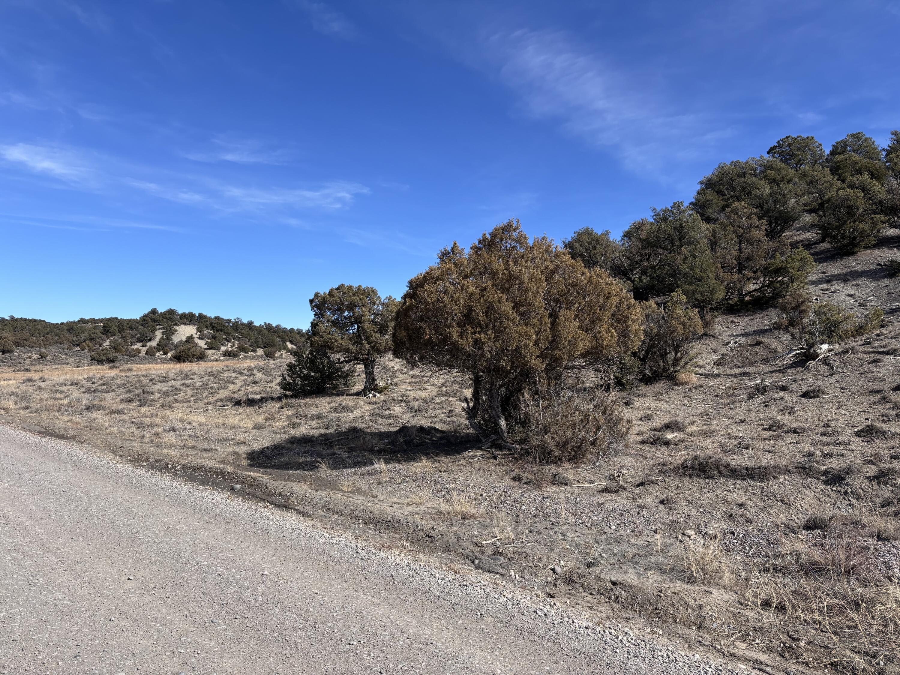 Unit 1 Tract 117 El Vado Lake Subd., Tierra Amarilla, New Mexico image 8
