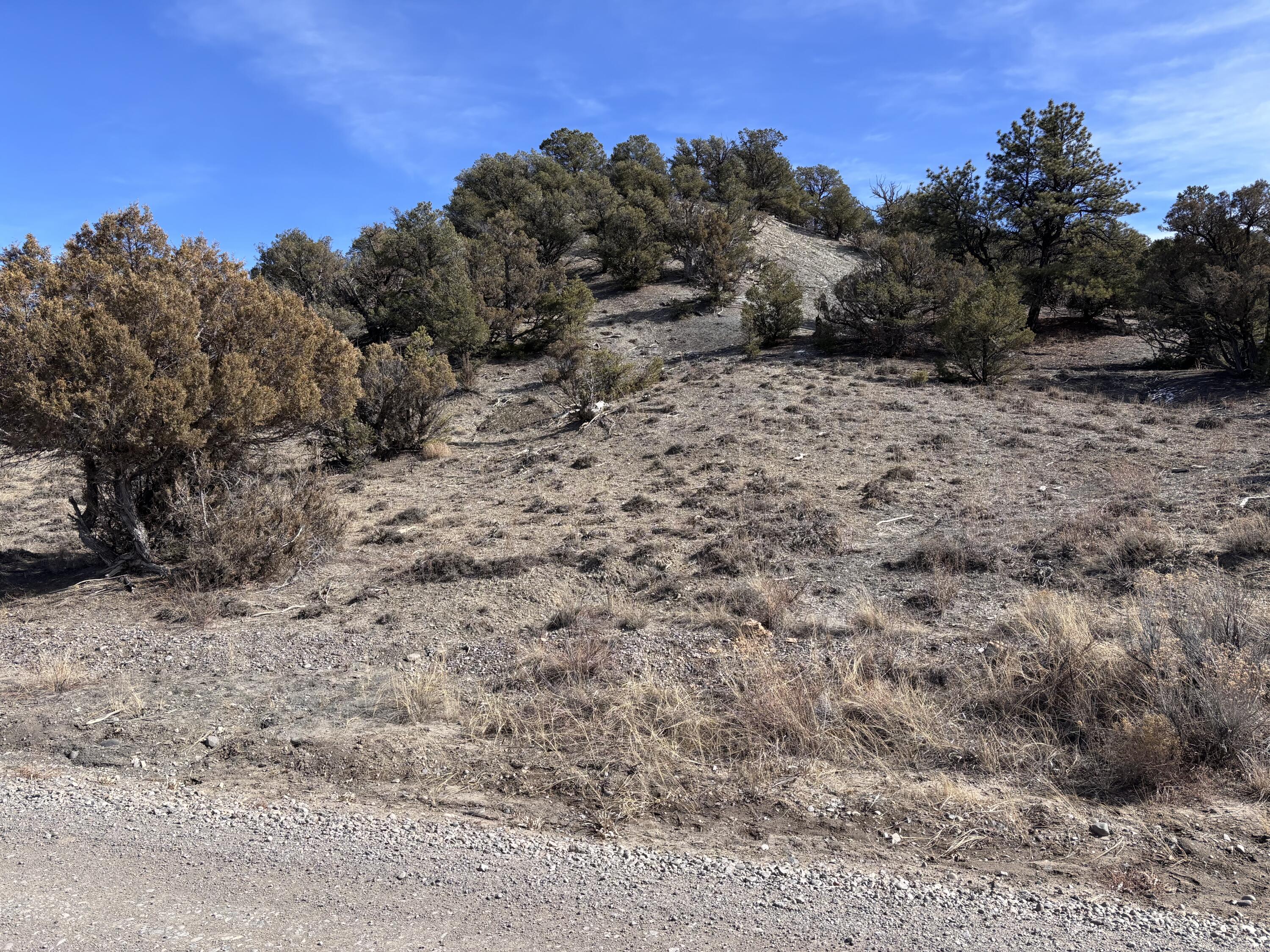 Unit 1 Tract 117 El Vado Lake Subd., Tierra Amarilla, New Mexico image 11