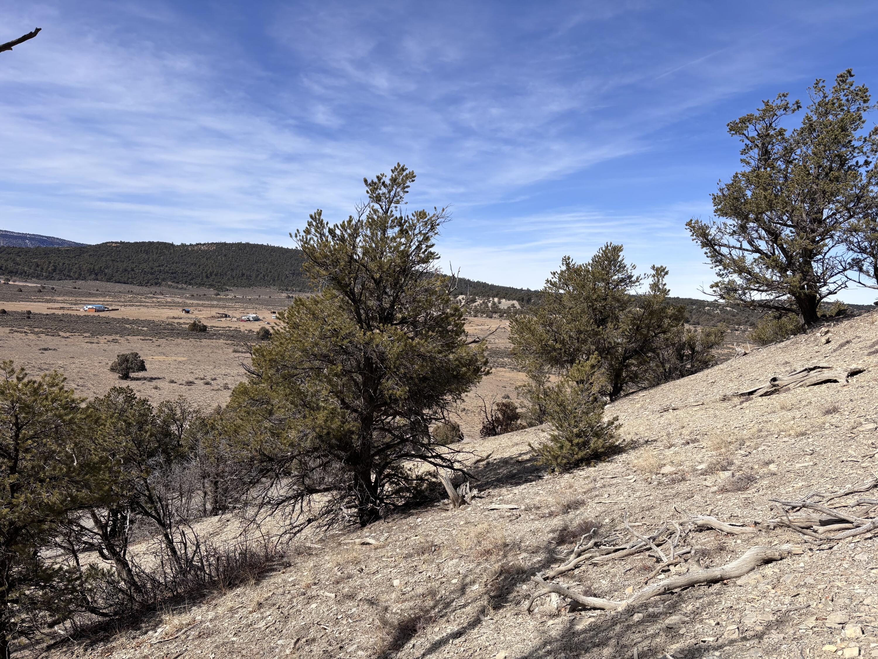 Unit 1 Tract 117 El Vado Lake Subd., Tierra Amarilla, New Mexico image 5