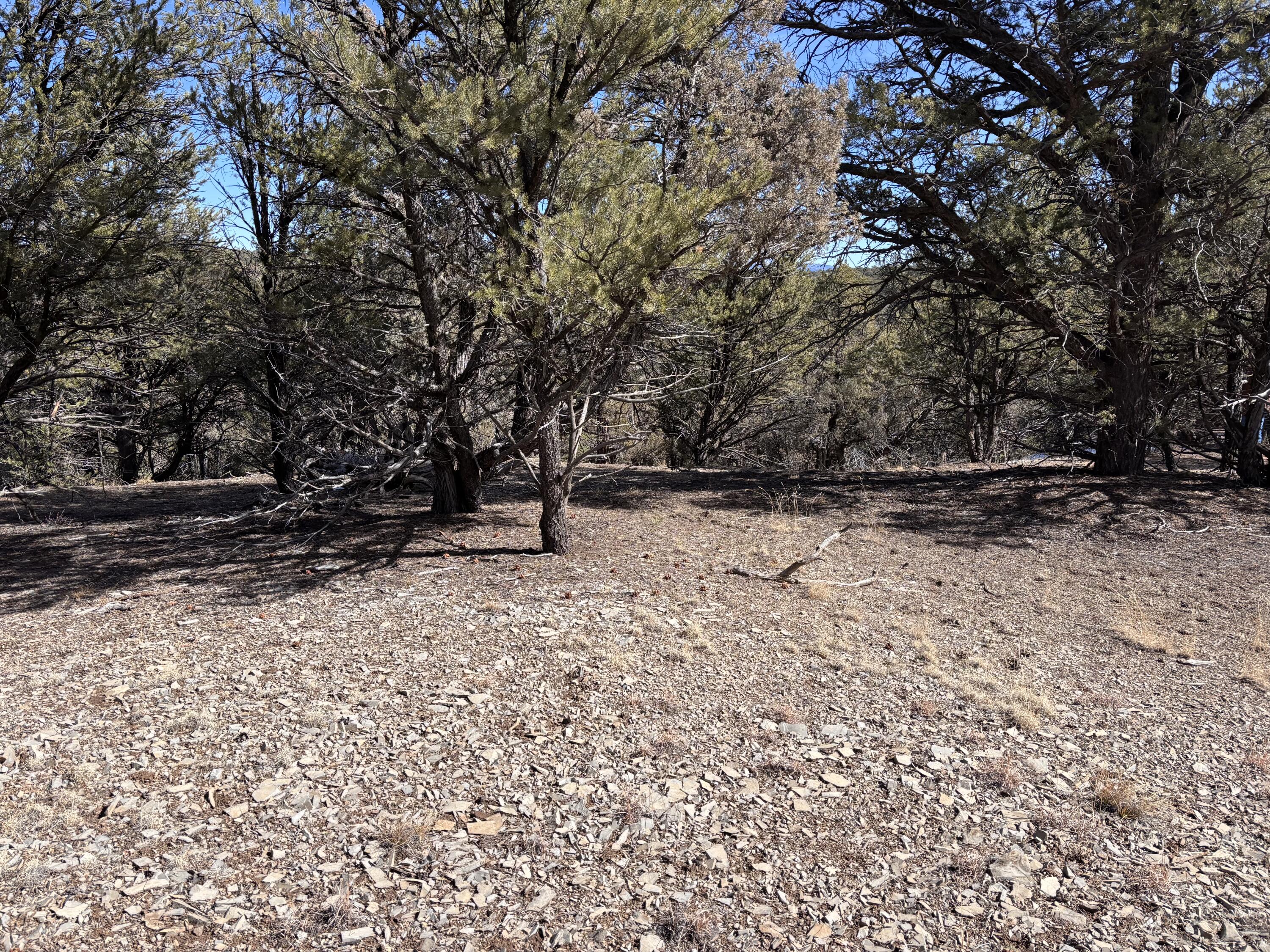 Unit 1 Tract 117 El Vado Lake Subd., Tierra Amarilla, New Mexico image 10