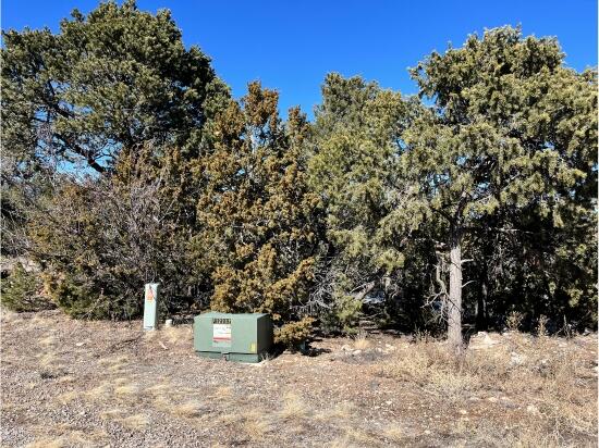 6 Pinon Point Road, Tijeras, New Mexico image 8