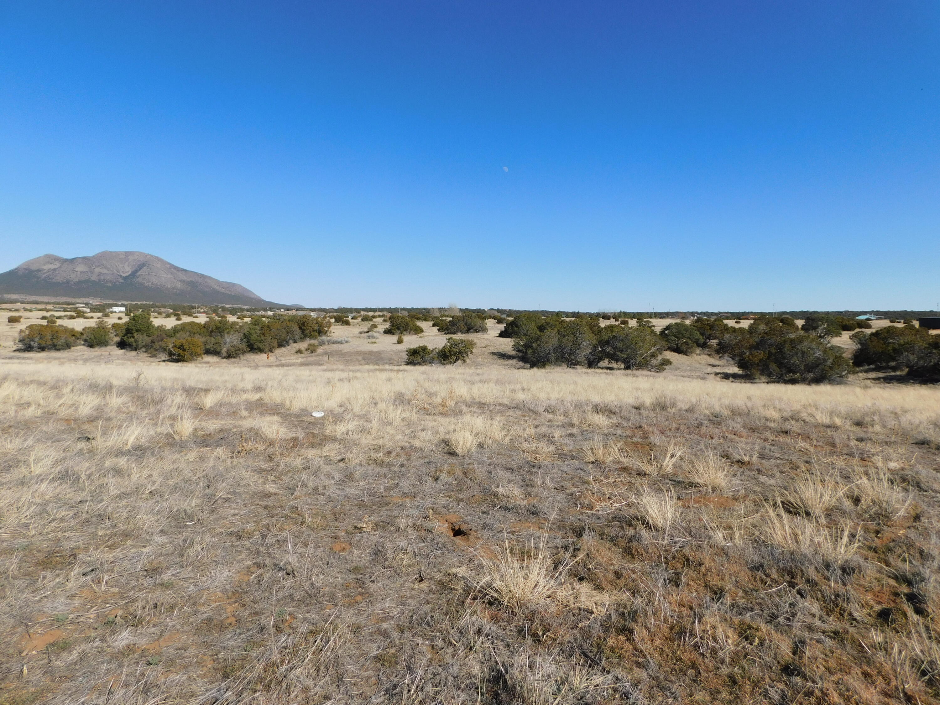 3 Alba Prado Court, Sandia Park, New Mexico image 8