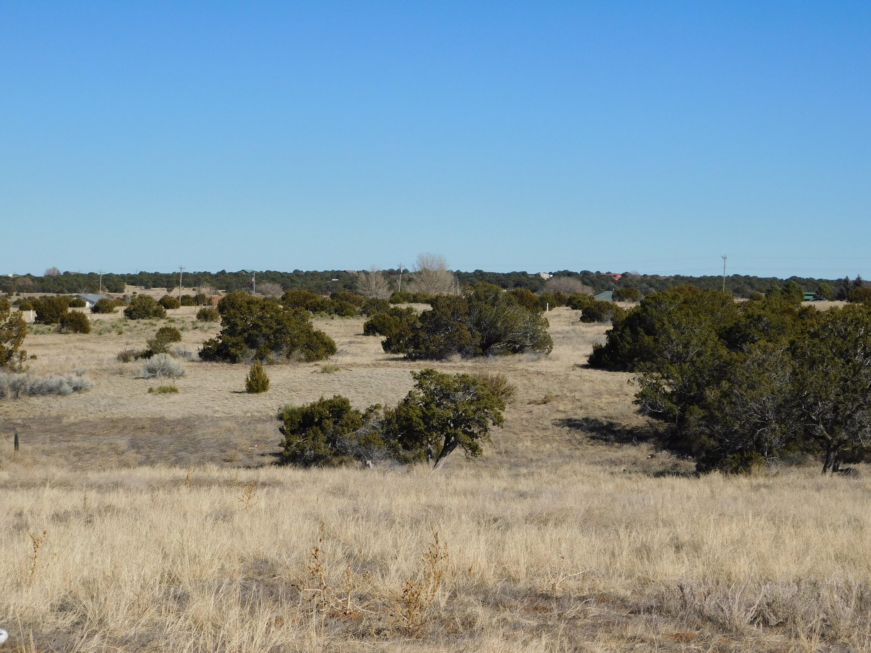 3 Alba Prado Court, Sandia Park, New Mexico image 5