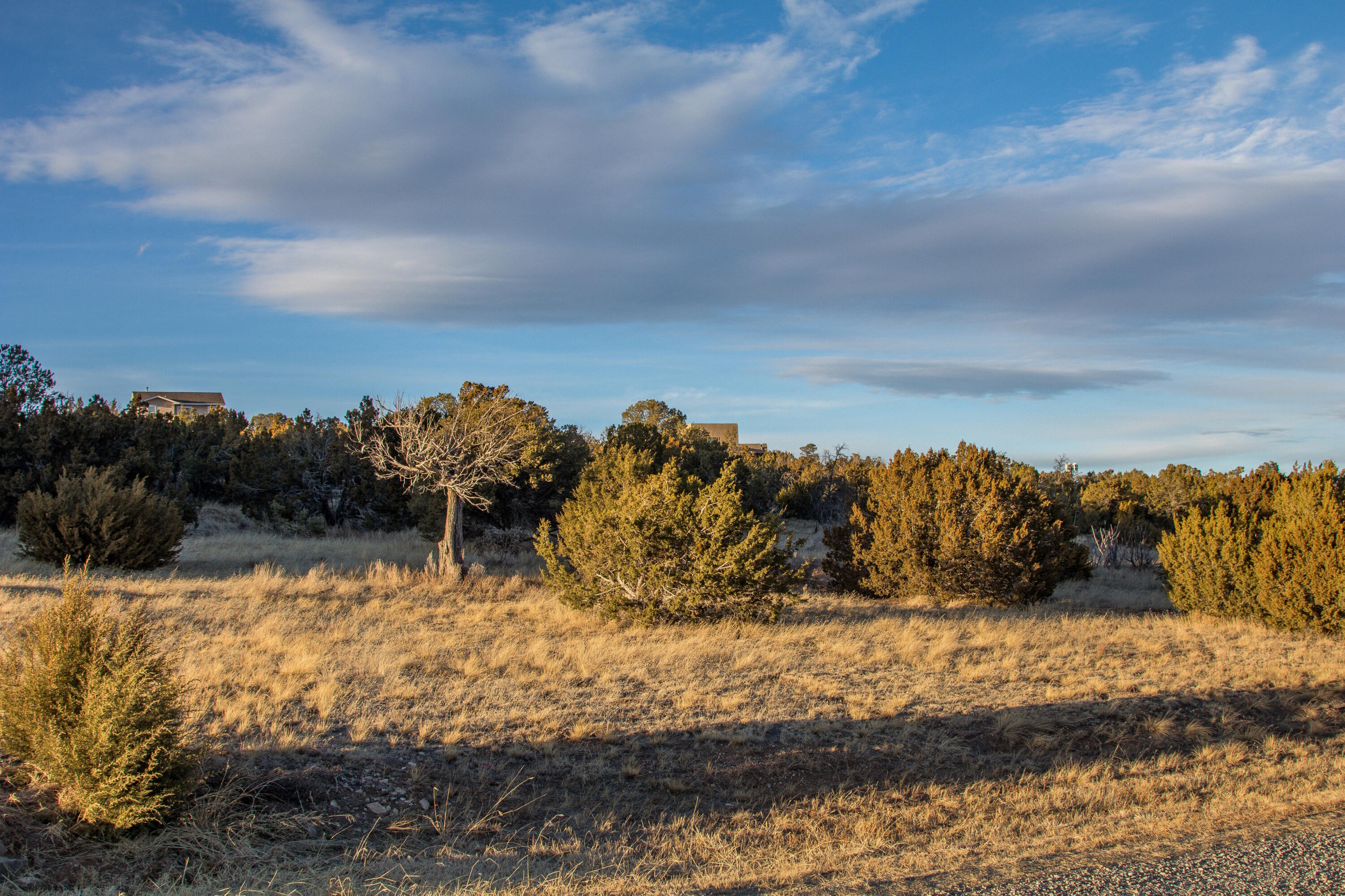 17 Camino Collado, Edgewood, New Mexico image 2