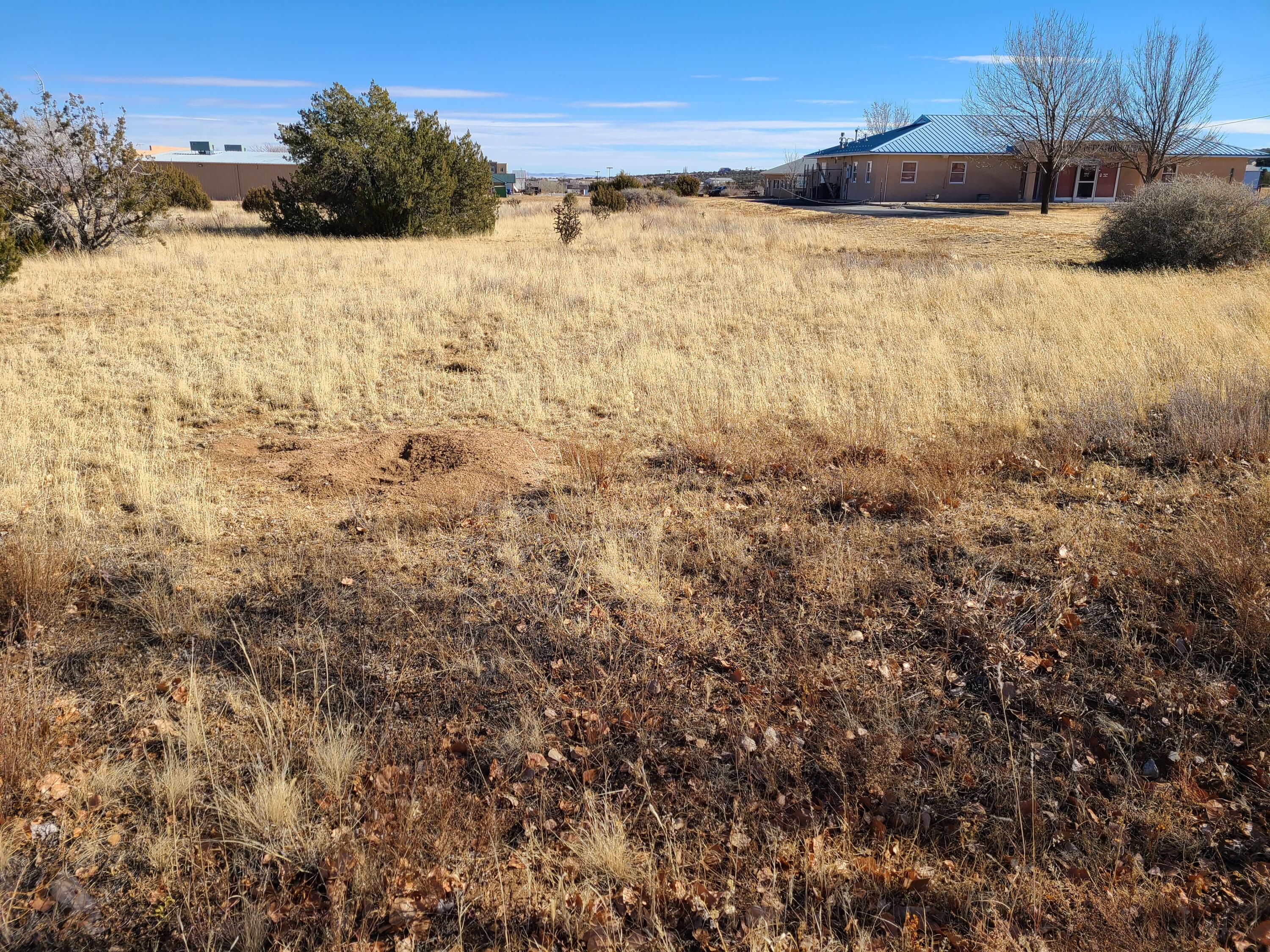 4 Eunice Court, Edgewood, New Mexico image 7