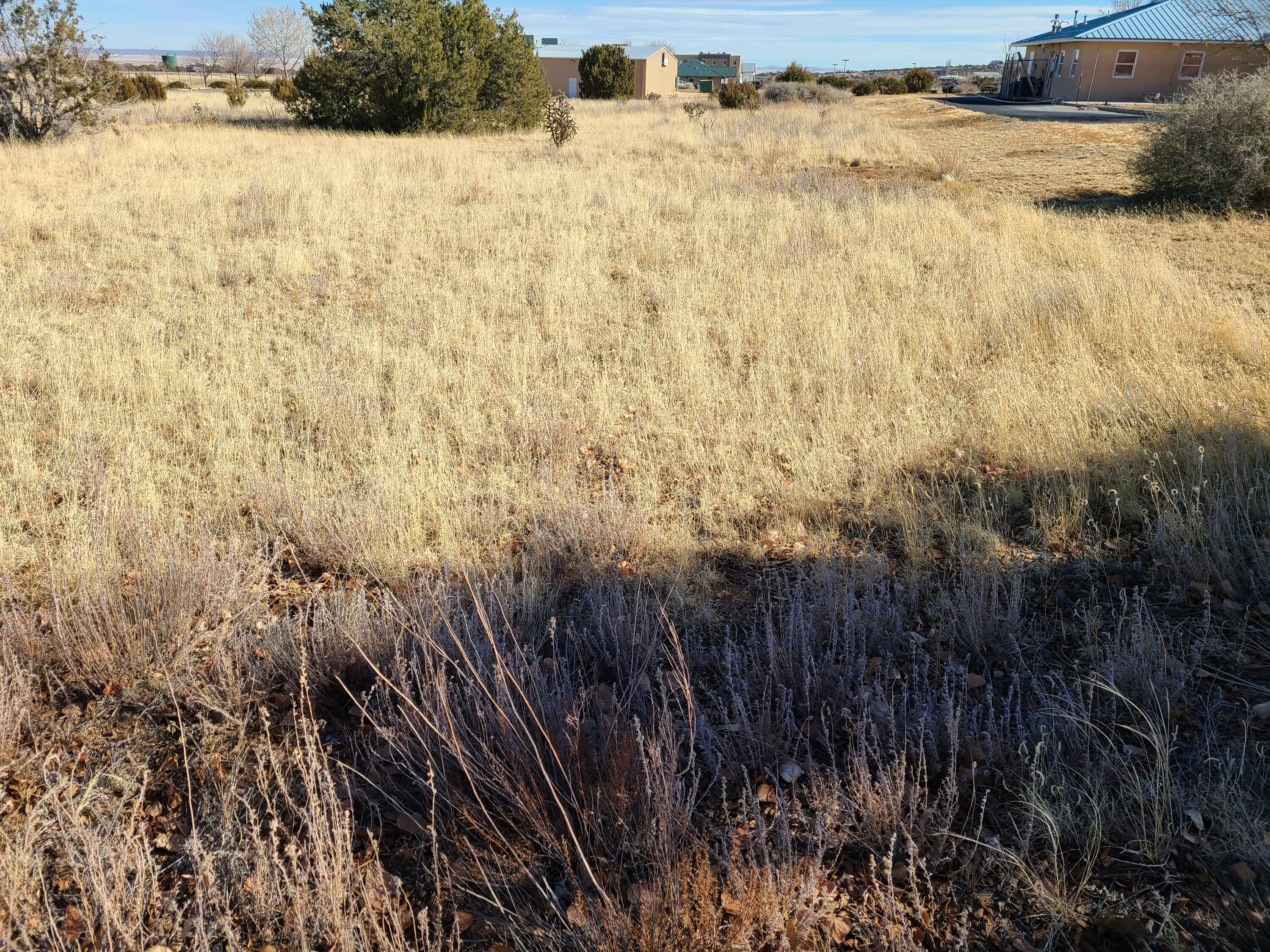 4 Eunice Court, Edgewood, New Mexico image 6