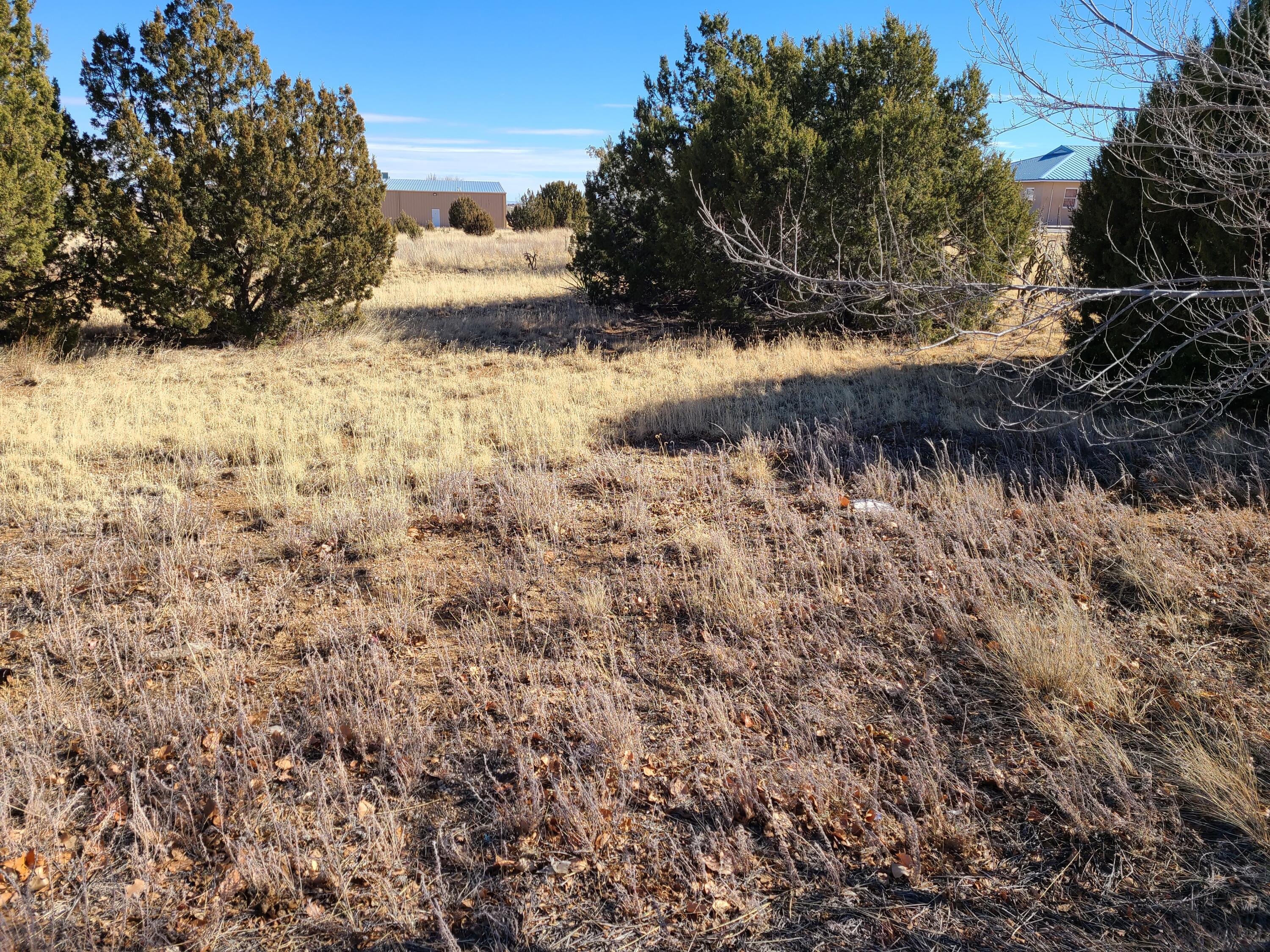 4 Eunice Court, Edgewood, New Mexico image 8