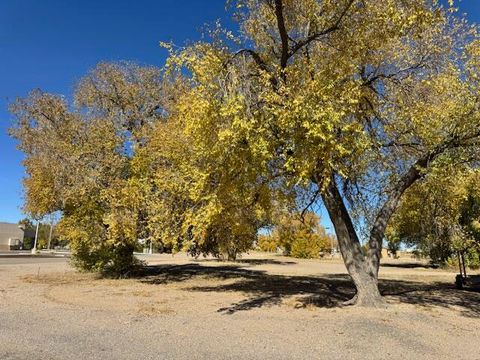 Vacant Land For Sale - N Princeton Avenue<br/> Torrance County, Moriarty, NM 87035