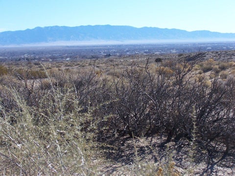 Photo of 00 Erica Lane, Belen, NM 87002 (MLS # 1111406)