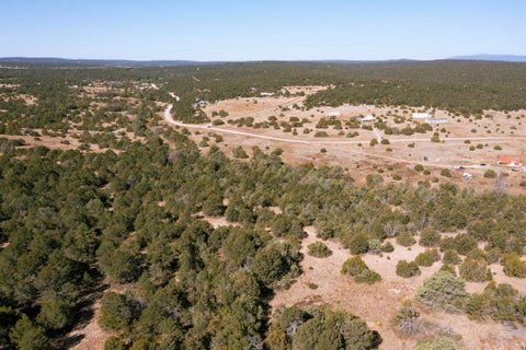 Vacant Land For Sale - Ballenger Ranch<br/> Edgewood, NM 87015