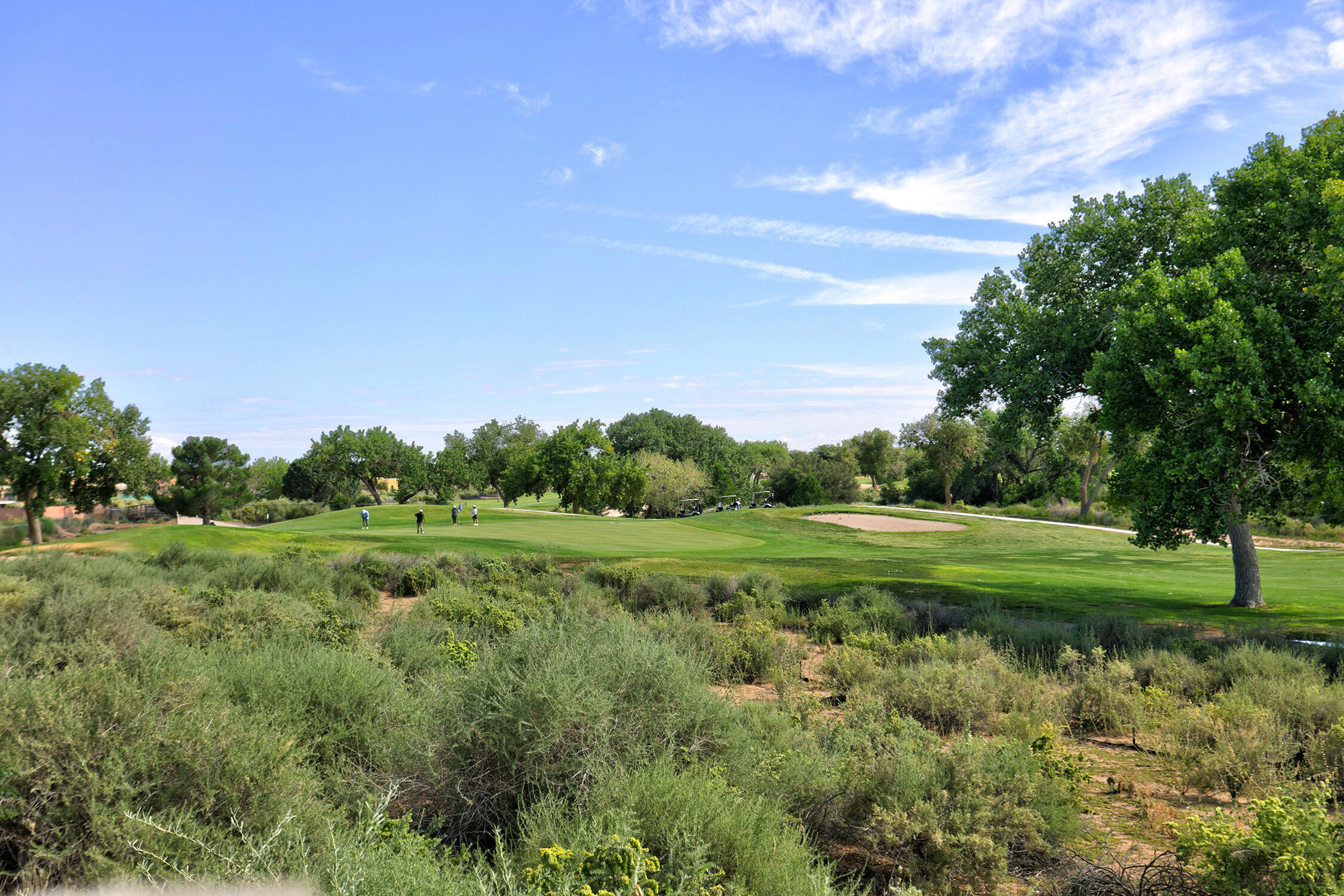 3600 Vista Del Sur Street, Albuquerque, New Mexico image 39