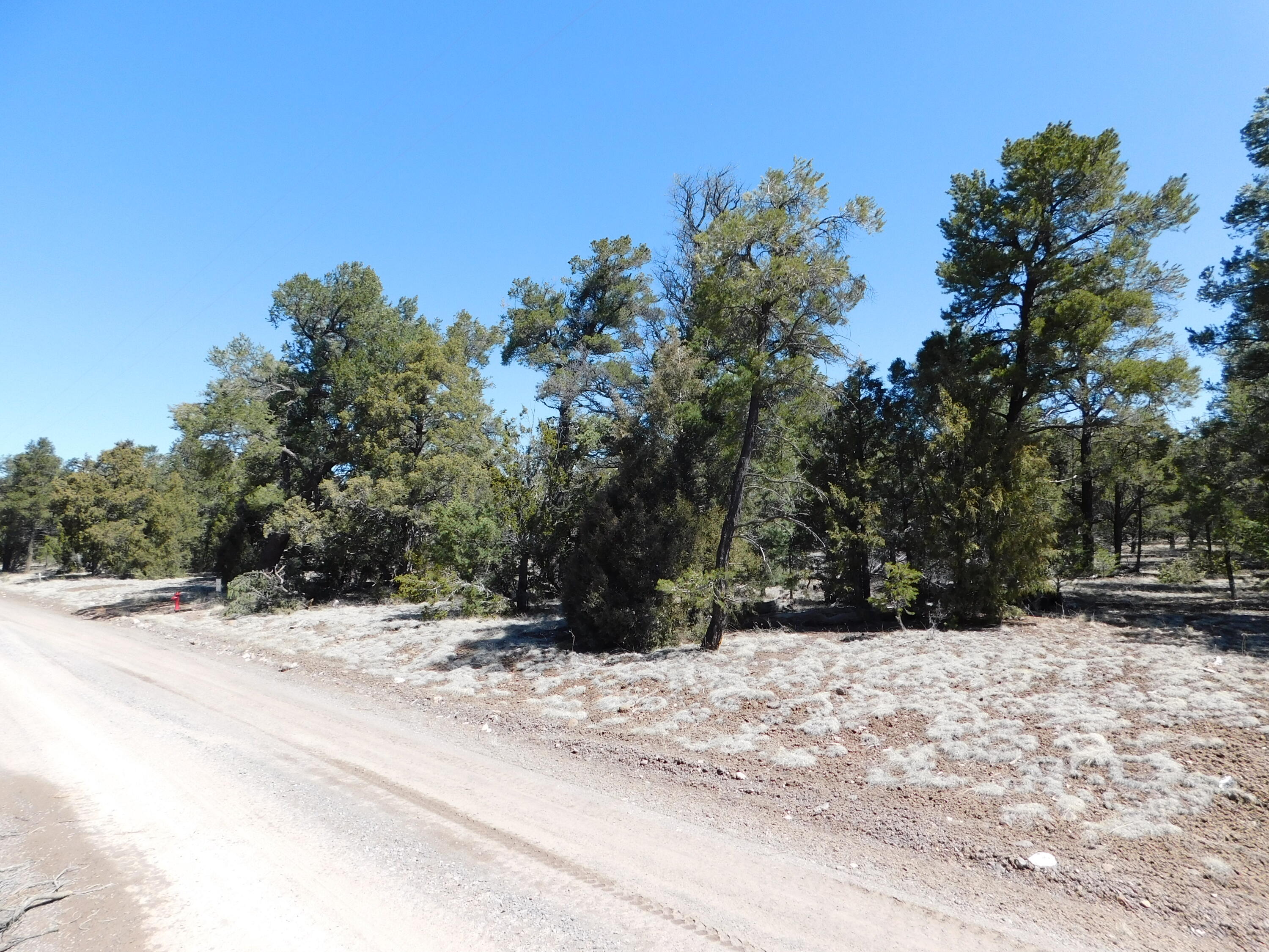 U-9 Turkey Trot Ln, Quemado, New Mexico image 3